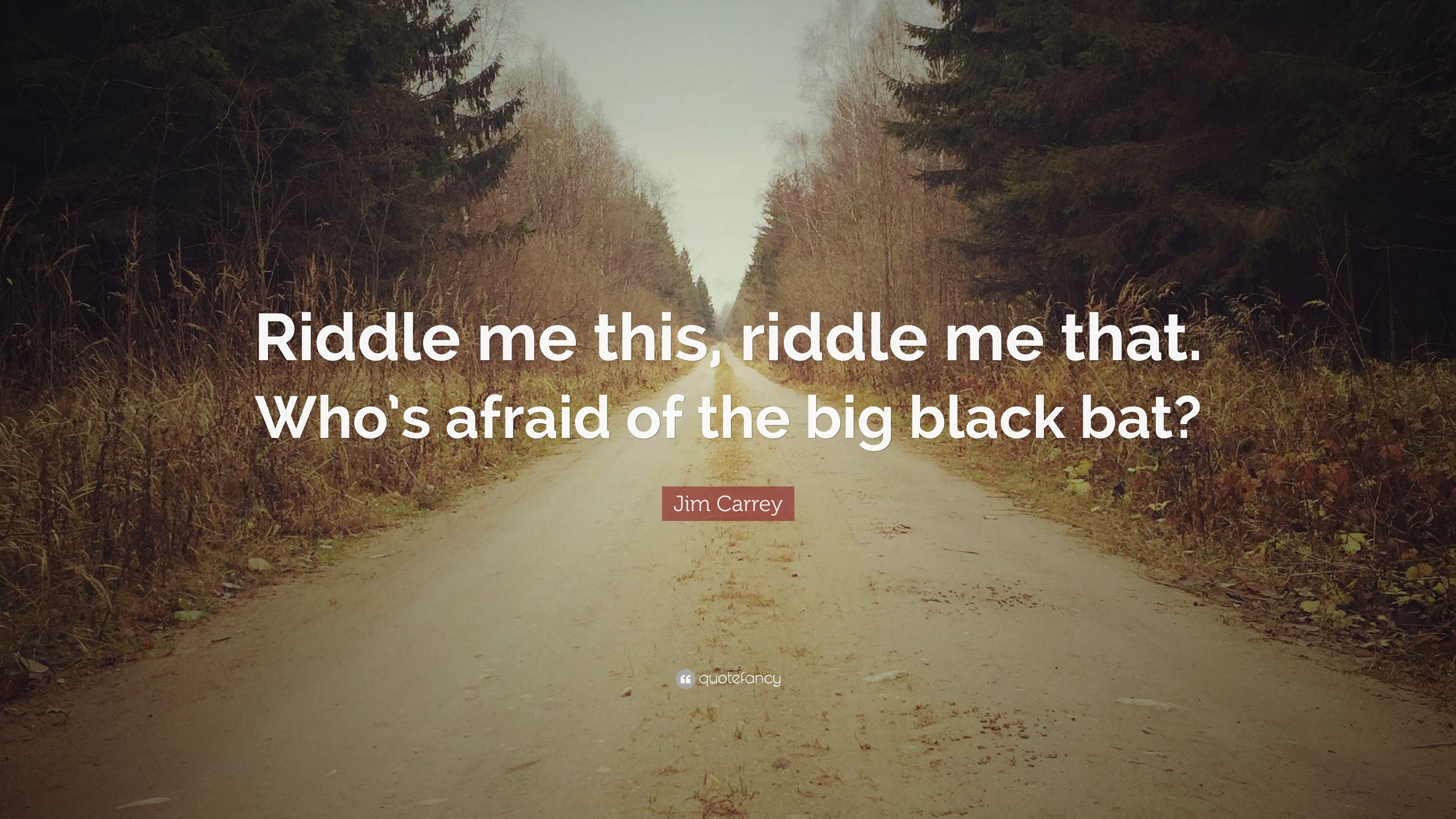 Wallpaper #HxnOLo8BtGB6xQ78N5ZN39 Jim Carrey Quote Riddle Me This Riddle Me That Whos Afraid of the