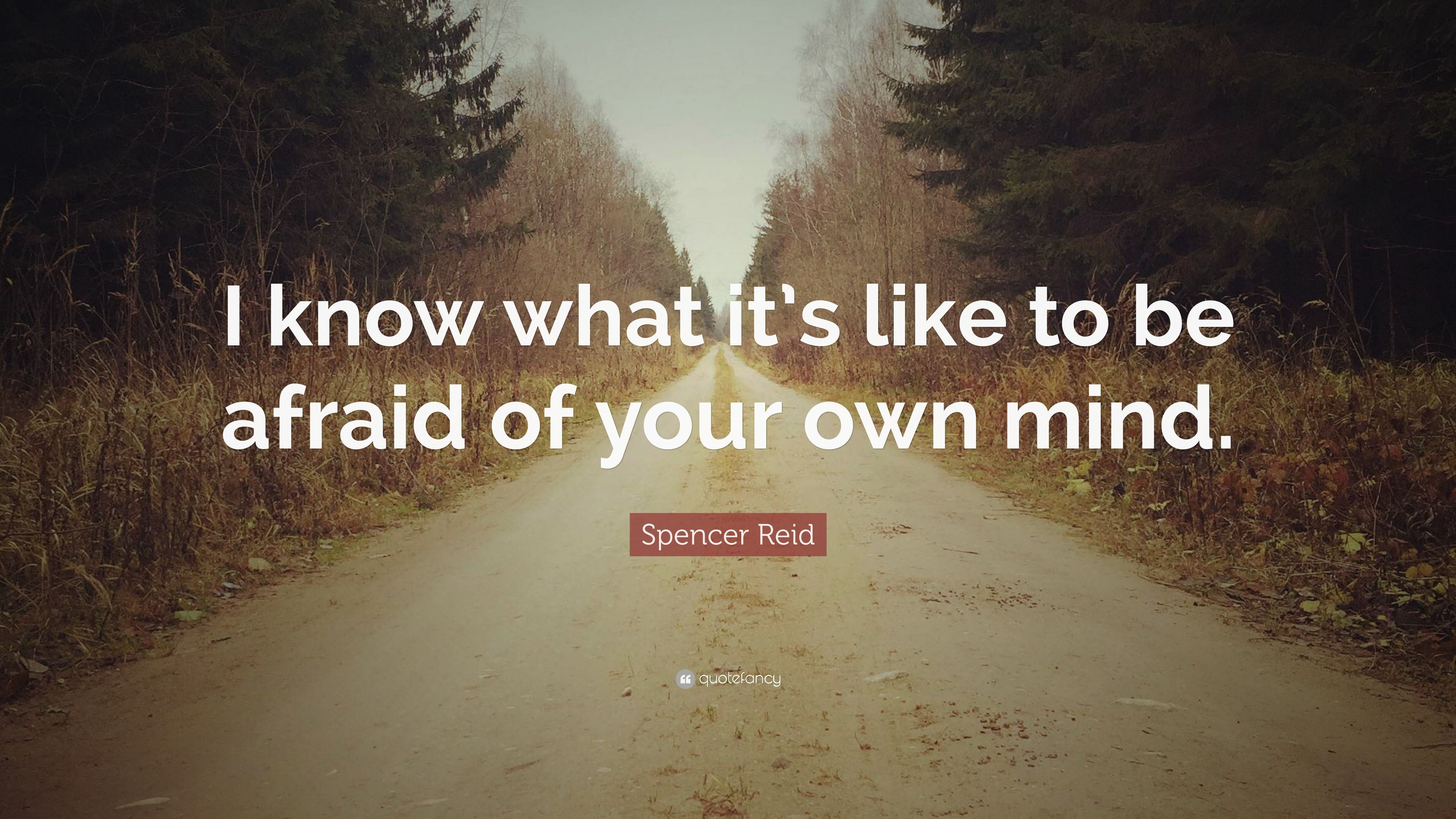 Wallpaper #CamiKZMBMYaX5LKBj9RO5 Spencer Reid Quote I Know What Its Like to Be Afraid of Your Own Mind