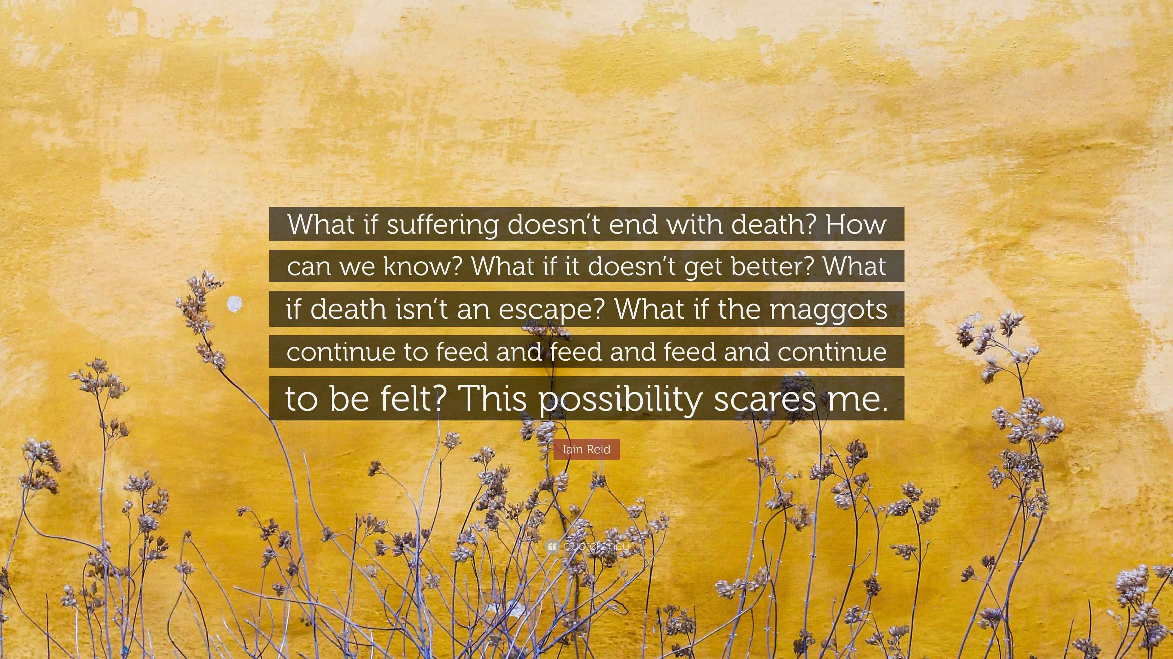 Wallpaper #CamiKZMBMYaX5LKBj9RO283 Iain Reid Quote What if Suffering Doesnt End with Death How Can We