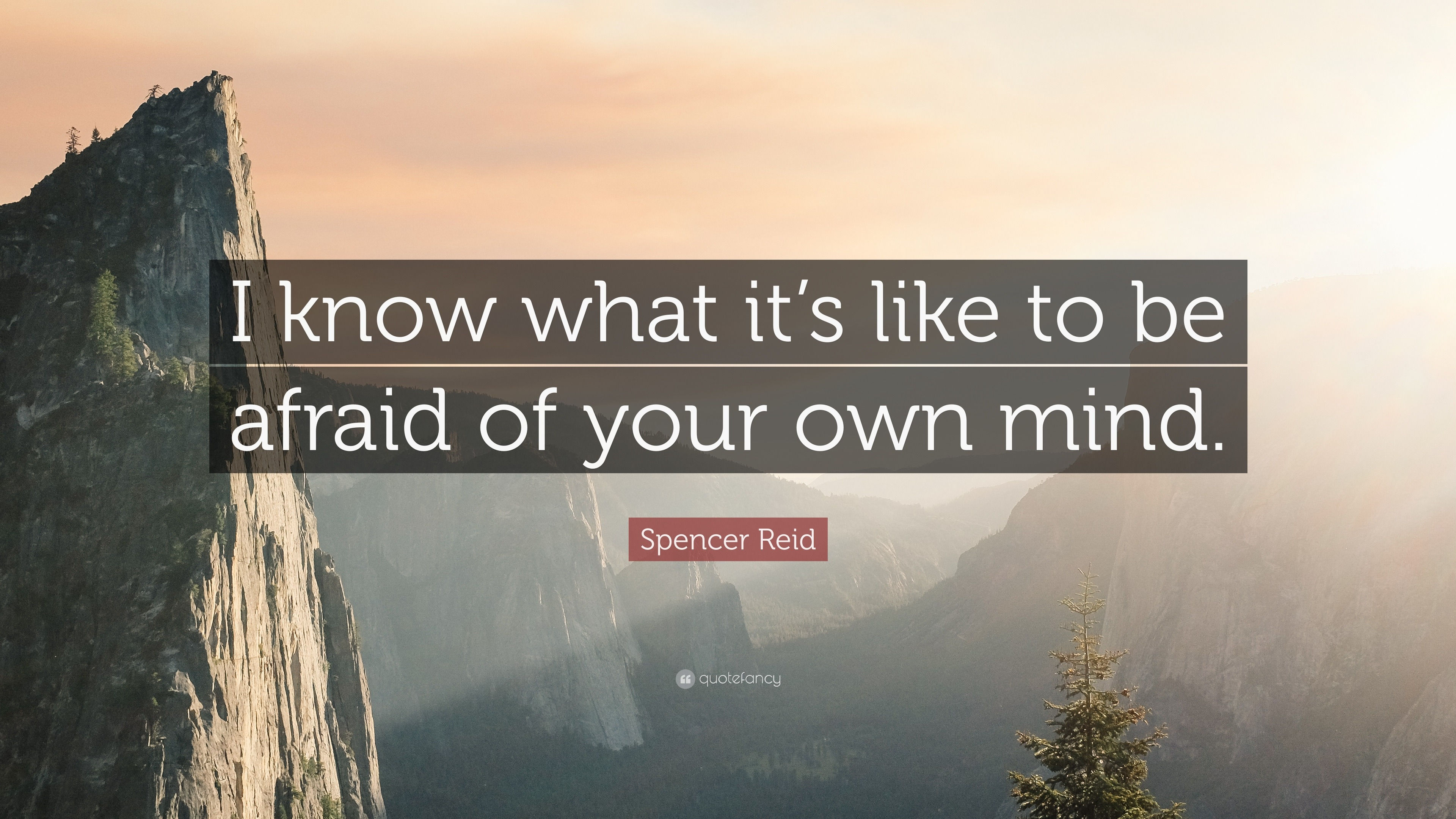 Wallpaper #CamiKZMBMYaX5LKBj9RO7 Spencer Reid Quote I Know What Its Like to Be Afraid of Your Own Mind