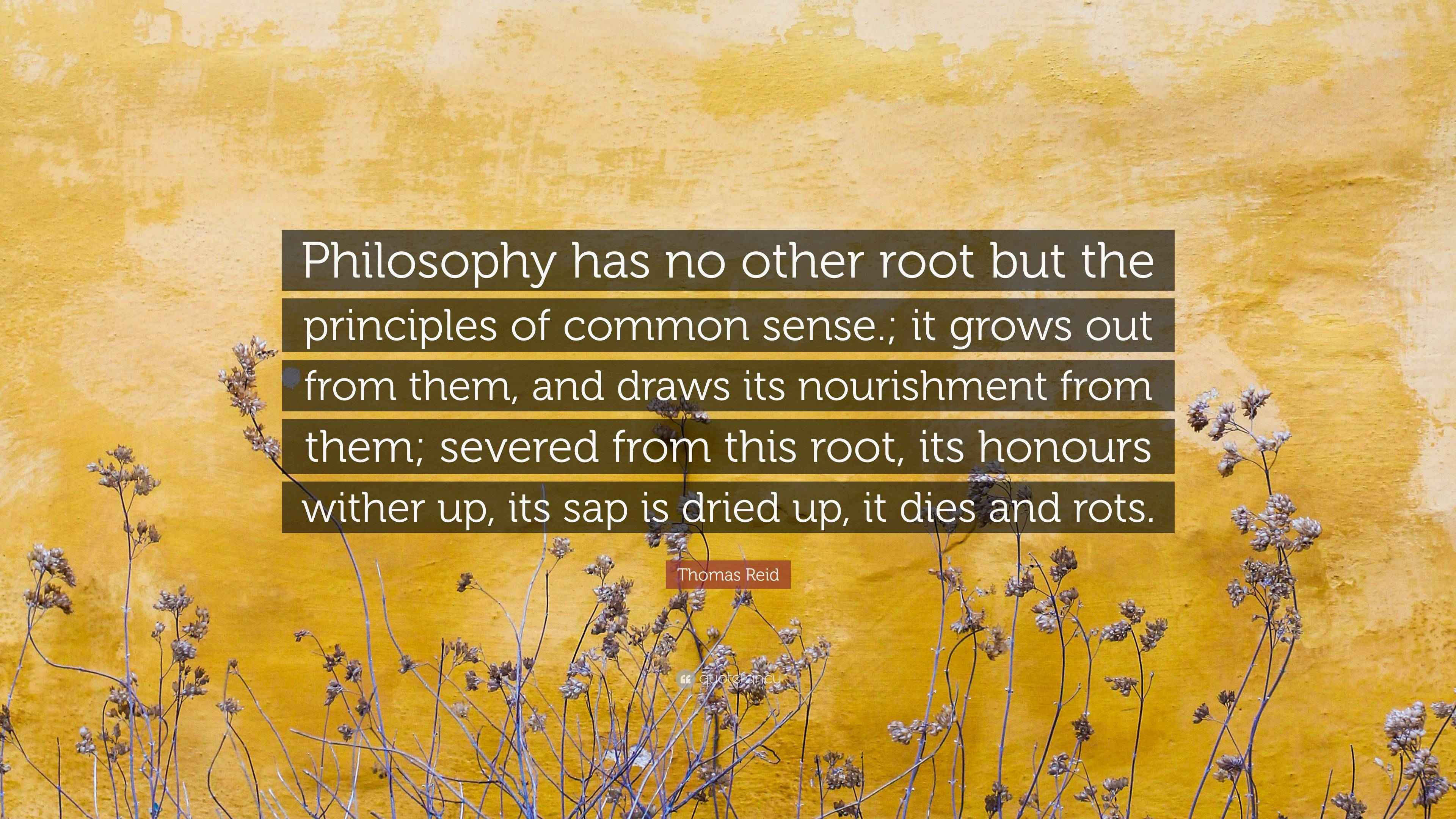Wallpaper #CamiKZMBMYaX5LKBj9RO259 Thomas Reid Quote Philosophy Has No Other Root but the Principles of
