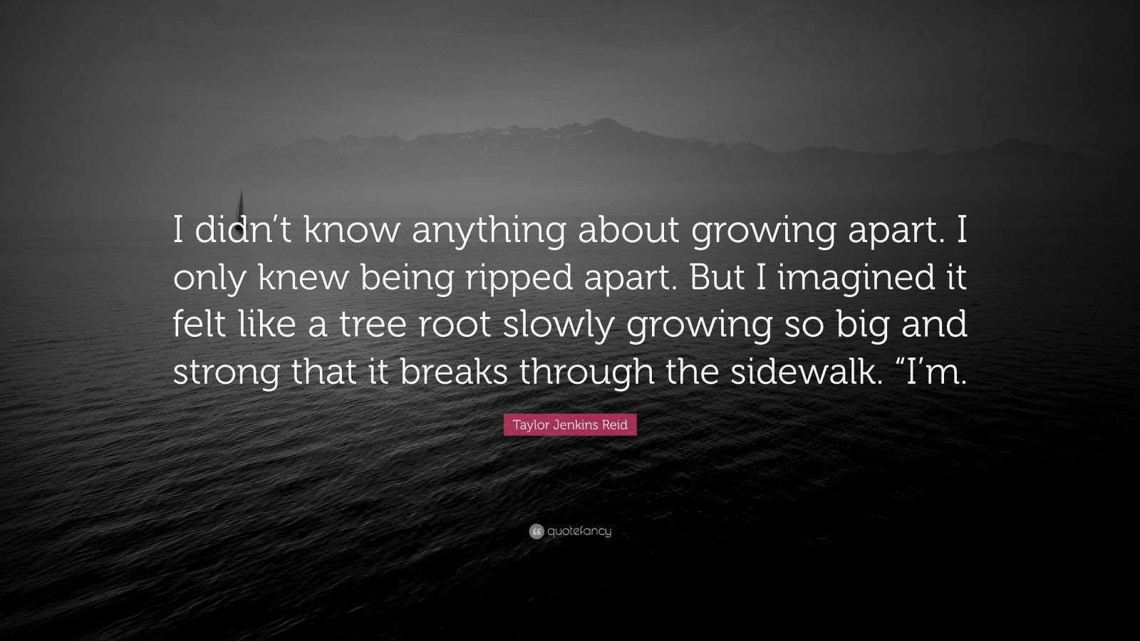 Wallpaper #CamiKZMBMYaX5LKBj9RO332 Taylor Jenkins Reid Quote I Didnt Know Anything About Growing Apart