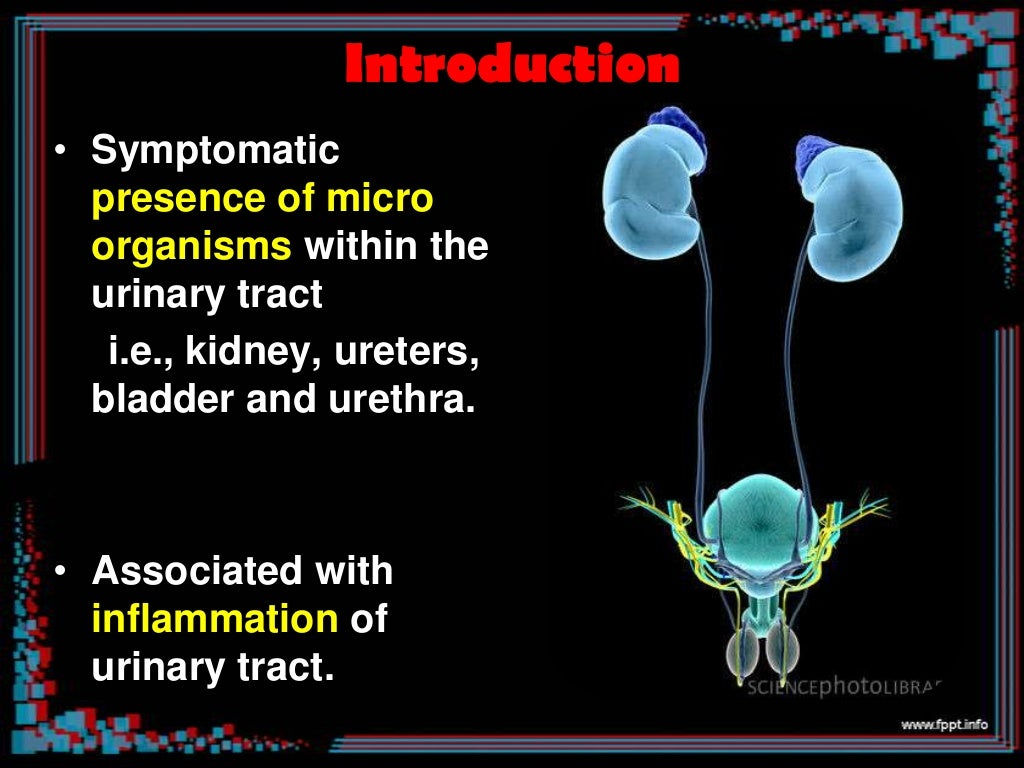 Wallpaper #2D780 182 Bacterial Infections of the Urinary System Biology Libretexts