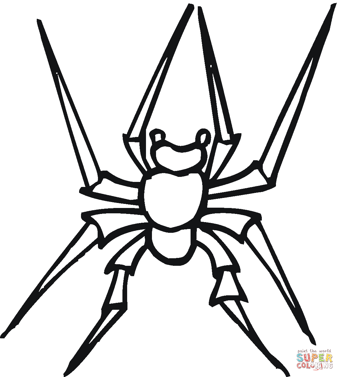 Wallpaper #Gmd6CZMBSpphPi3-WNCd46 Dibujo De Dibujo De Arana Para Colorear Dibujos Para Colorear