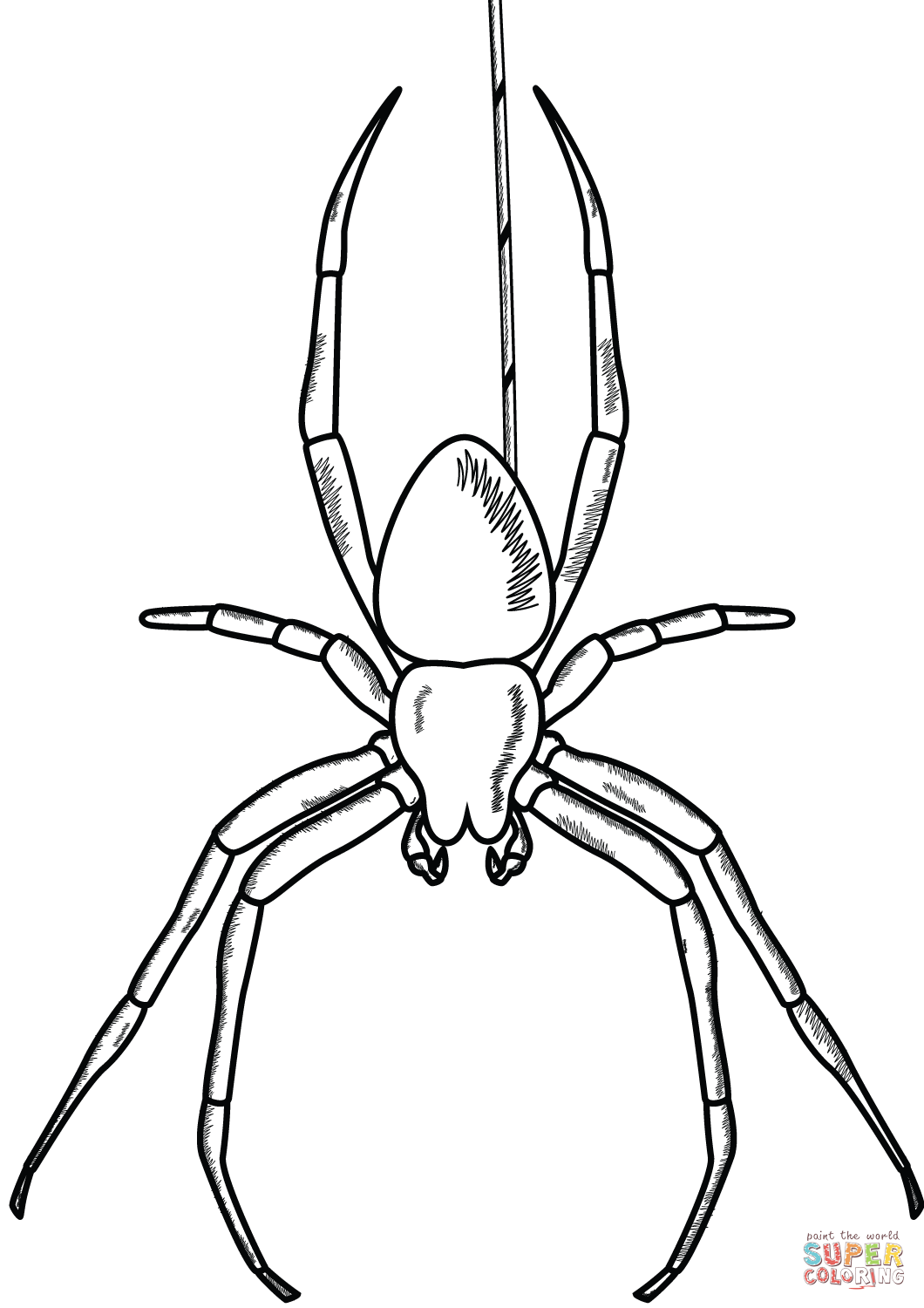 Wallpaper #Gmd6CZMBSpphPi3-WNCd53 Spider Coloring Page Free Printable Coloring Pages