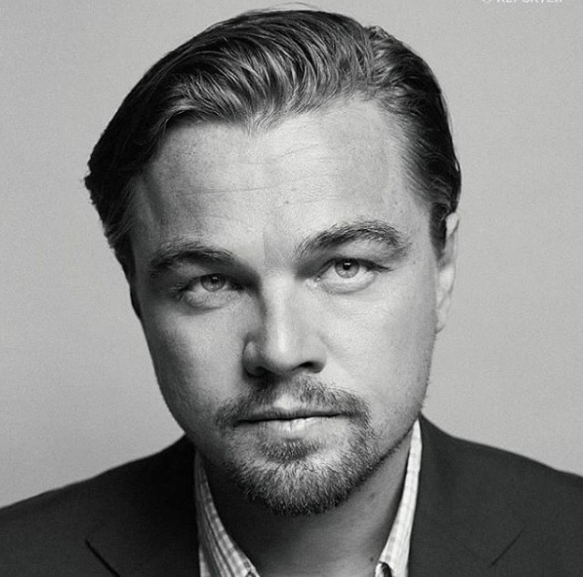 Wallpaper #1GfT6JIBSpphPi3-ZD6Q236 Leonardo Dicaprio Elogia Enredo Do Salgueiro Ao Falar Sobre Povo