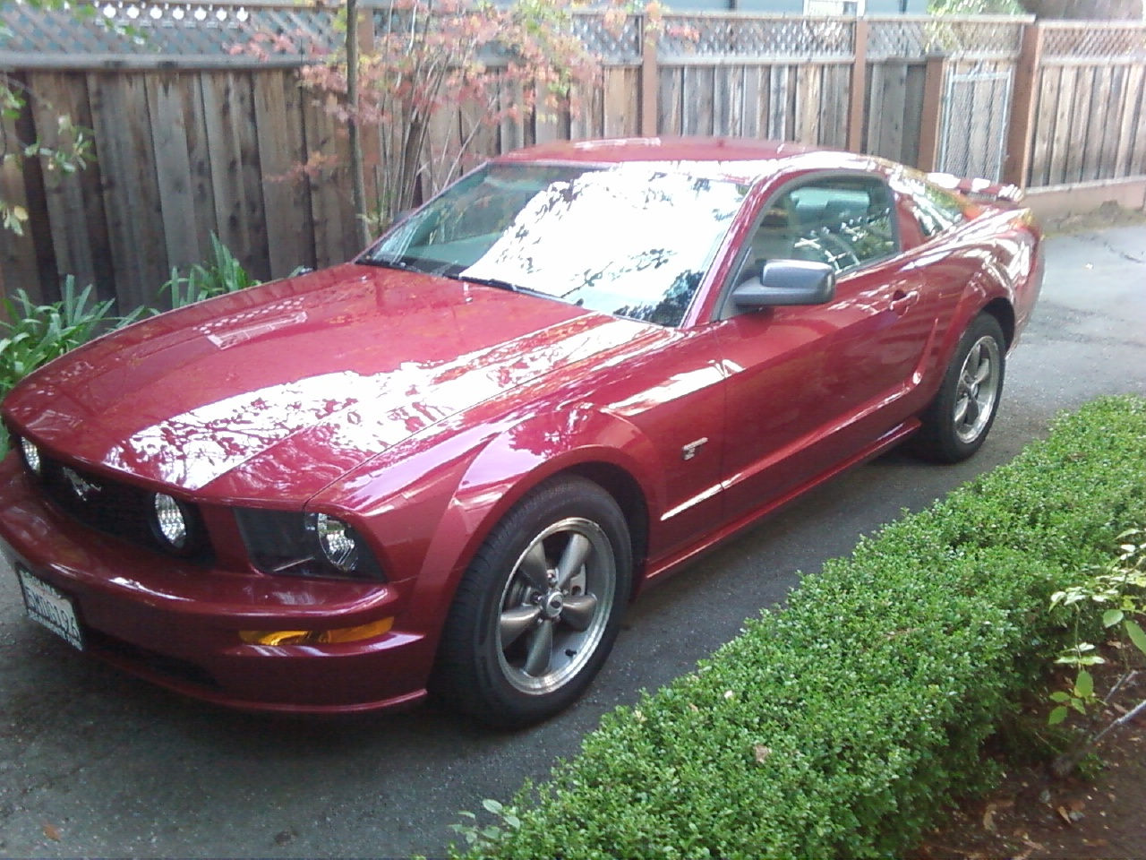 Wallpaper #JmiwH5MBSpphPi3-Jiwt379 2005 Ford Mustang GT Deluxe Horsepower