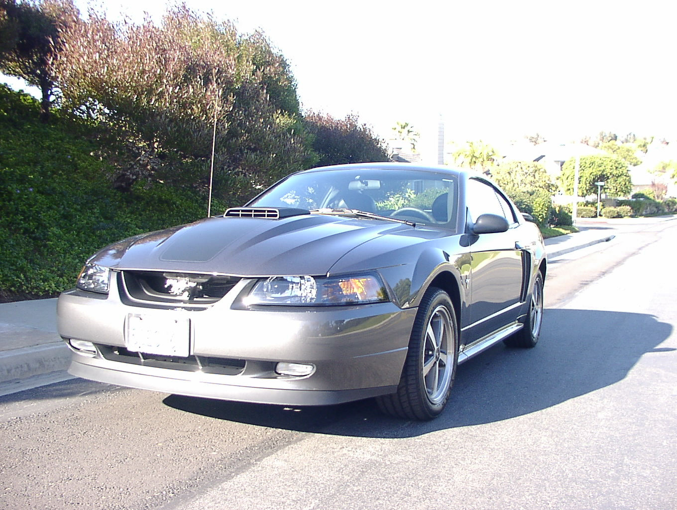 Wallpaper #xrkW35IBJvJKYCmEHAgX340 Horsepower 2003 Mustang GT