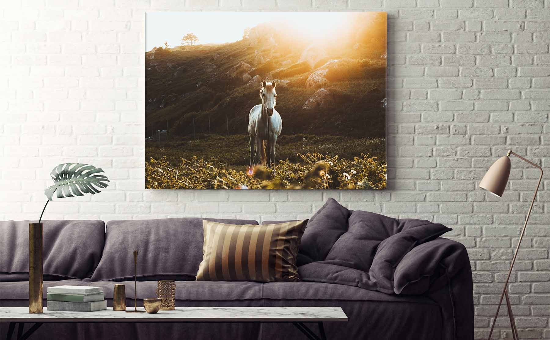 Wallpaper #xQOFYpMBpyOg8YnEvdI-250 Where Can I Get Large Canvas Prints Made at Patricia Firth Blog