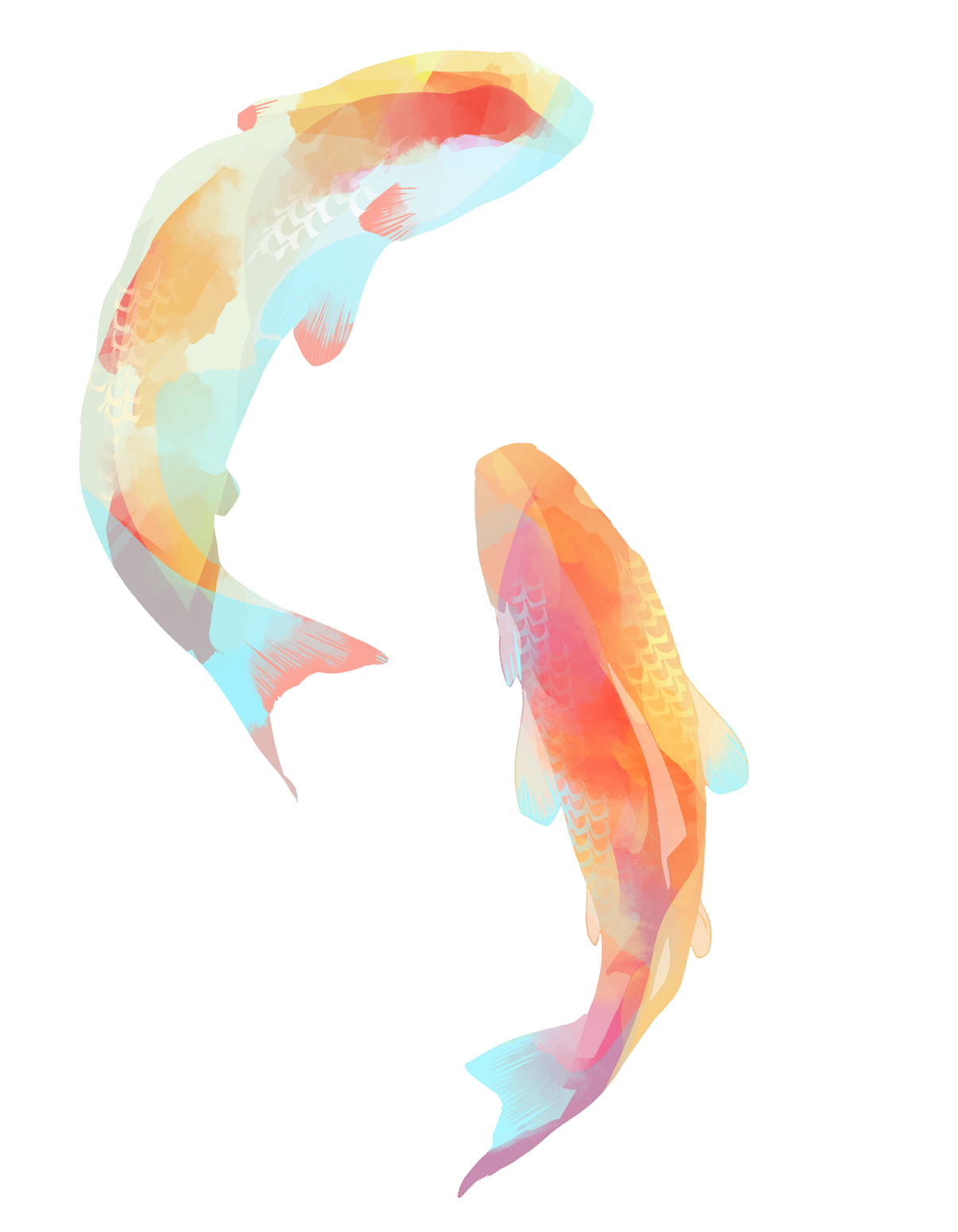 Wallpaper #5e6bc Black Yellow Koi Fish Fish Koi Tattoo Png and Vector with 5016 the