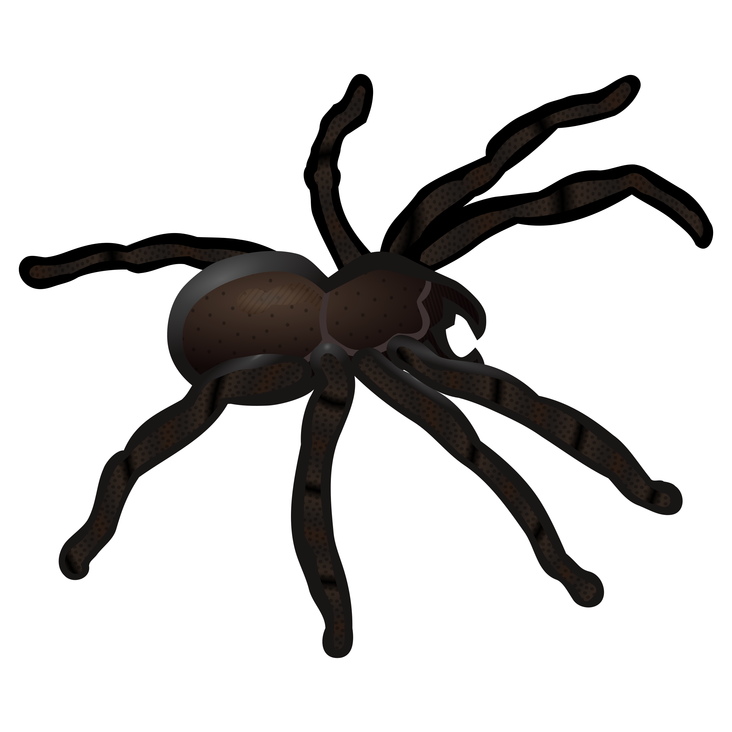Wallpaper #71bf1 Pin by Kayleigh on Spider Drawings in 2024 Spiderman Drawing