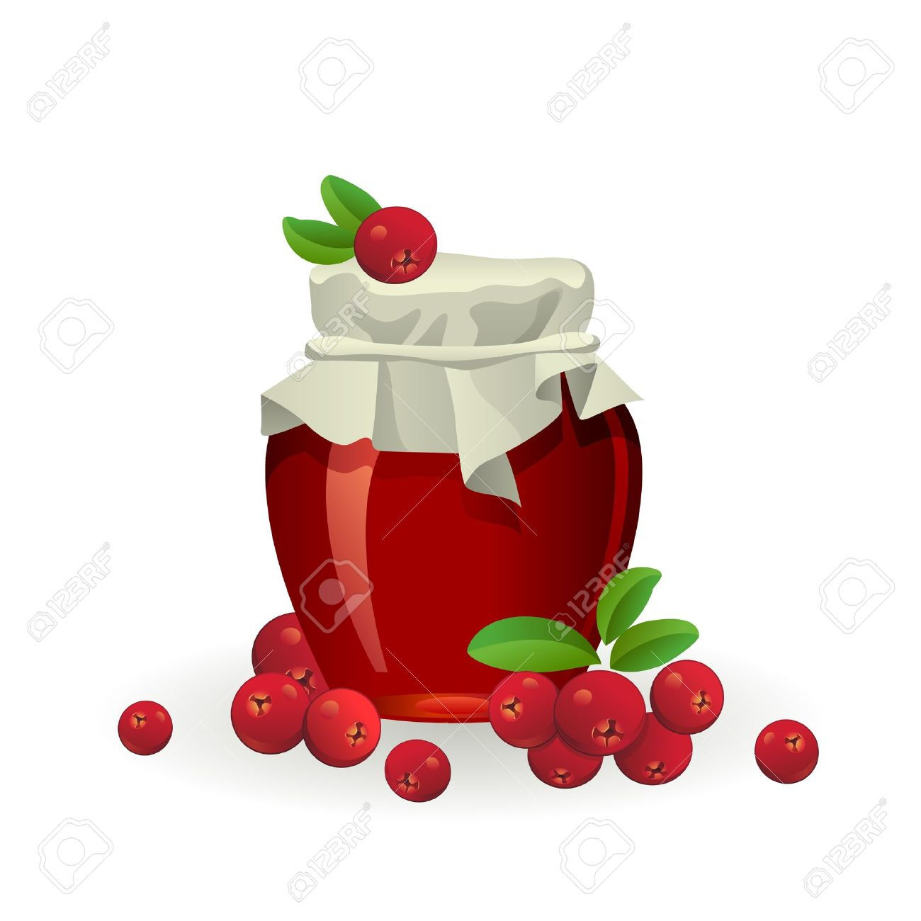 Wallpaper #3DD19 Cranberries Juice Vector 167451 Vector Art at Vecteezy