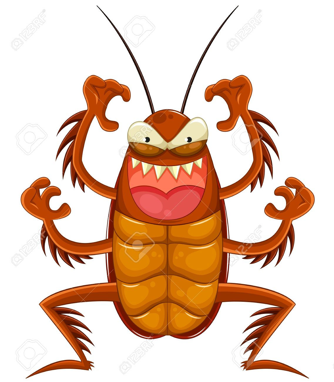 Wallpaper #SWdXCpMBSpphPi3-q9Qk166 Cockroach Pictures for Kids Free Download on Clipartmag