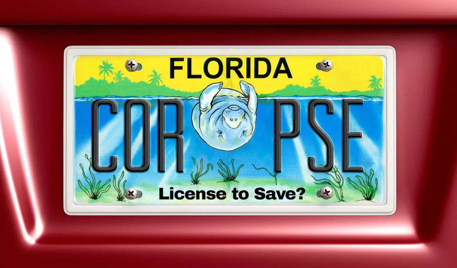 Wallpaper #FmiZE5MBSpphPi3-2gHs219 Floridas Specialty License Plates Steal Millions from Manatees and
