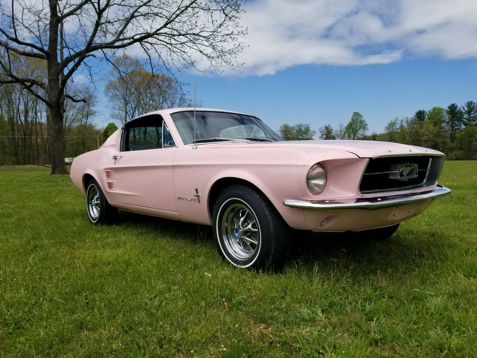 Wallpaper #41D04 Modified and Customized Pink Ford Mustang Stock Photo Alamy