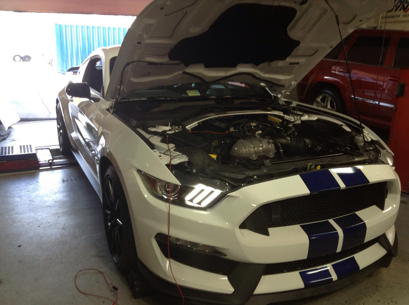 Wallpaper #-WiwF5MBSpphPi3-tw8a157 2016 Ford Mustang Shelby GT350 Gets Cold Air Intake and Tune Here Are