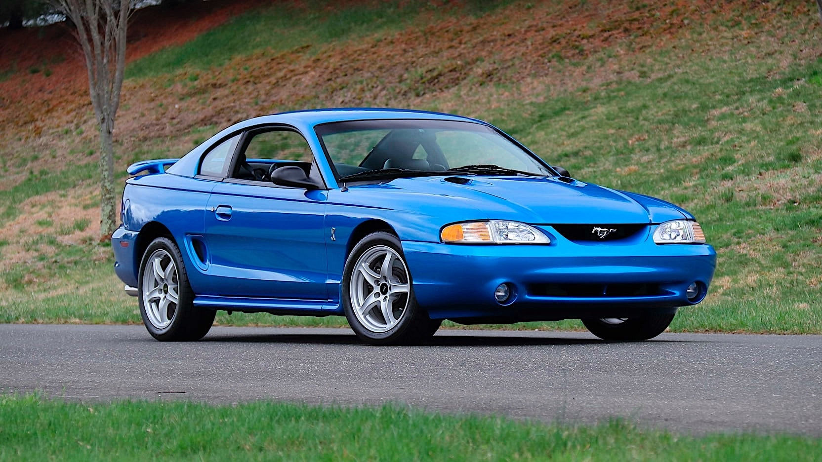 Wallpaper #9ho2UJMB1yWOL4qgrn_E174 Atlantic Blue 1998 Ford Svt Mustang Cobra Comes with Multiple Layers of