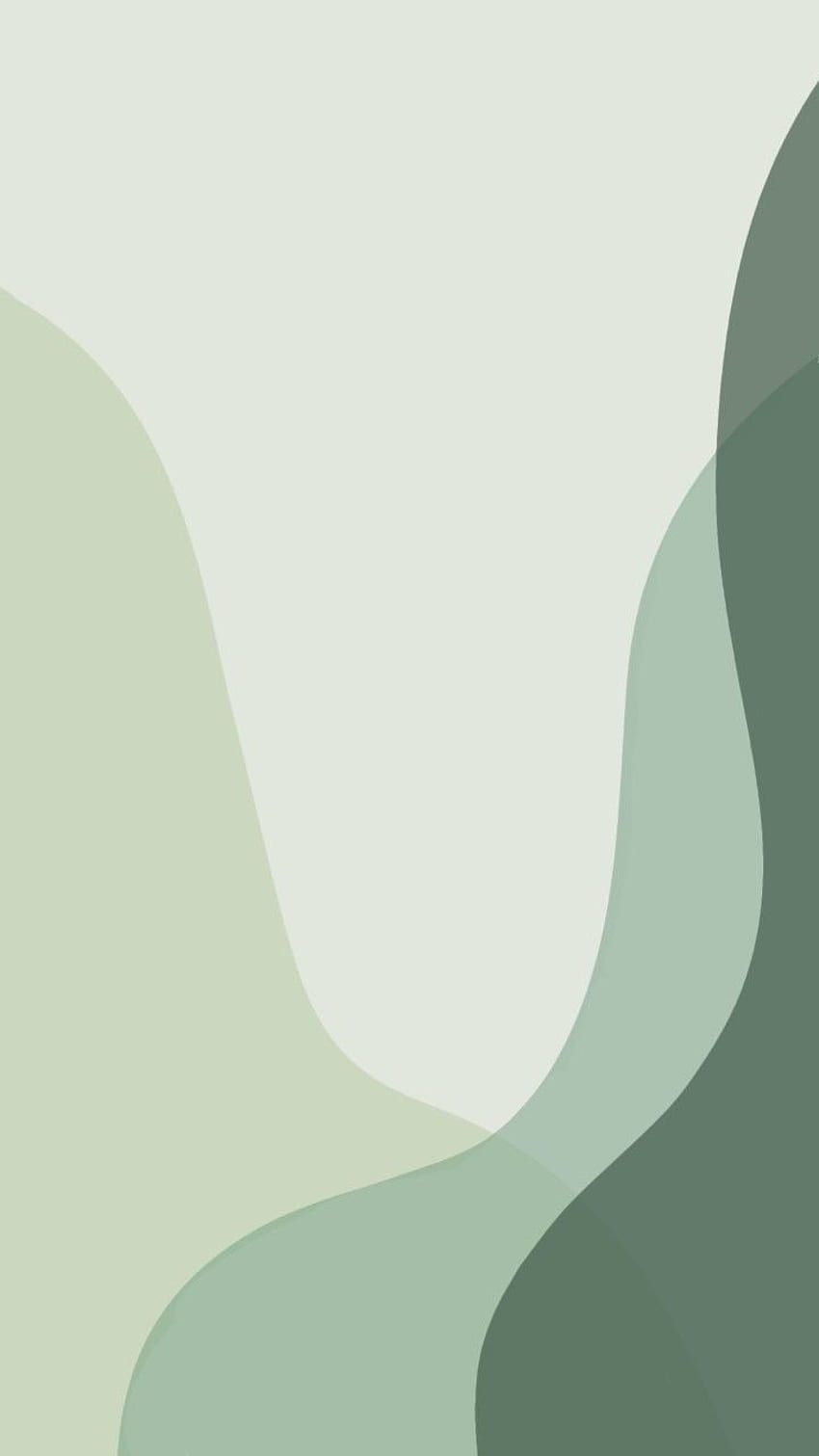 Wallpaper #o5yy4pIBZHQxiYarcMG480 Evergreen iPhone Green Simple iPhone Sage Green Mint Green