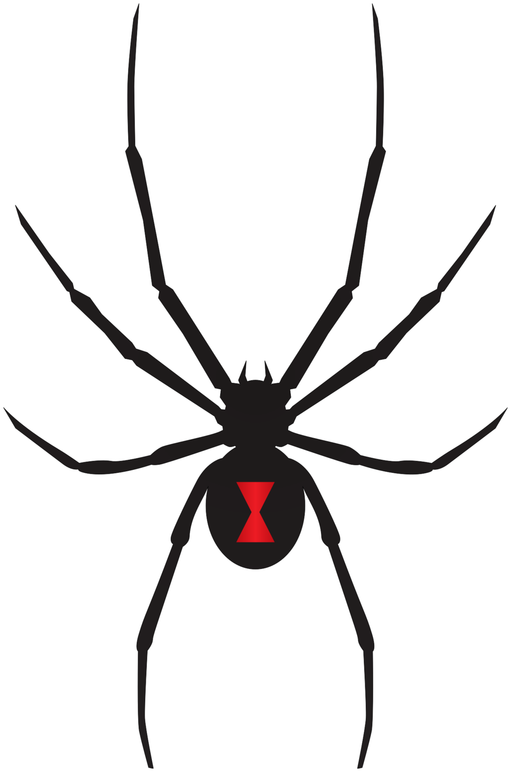 Wallpaper #BBkLE48BtGB6xQ78G2W88 Download Black Widow Svg for Free Designlooter 2020
