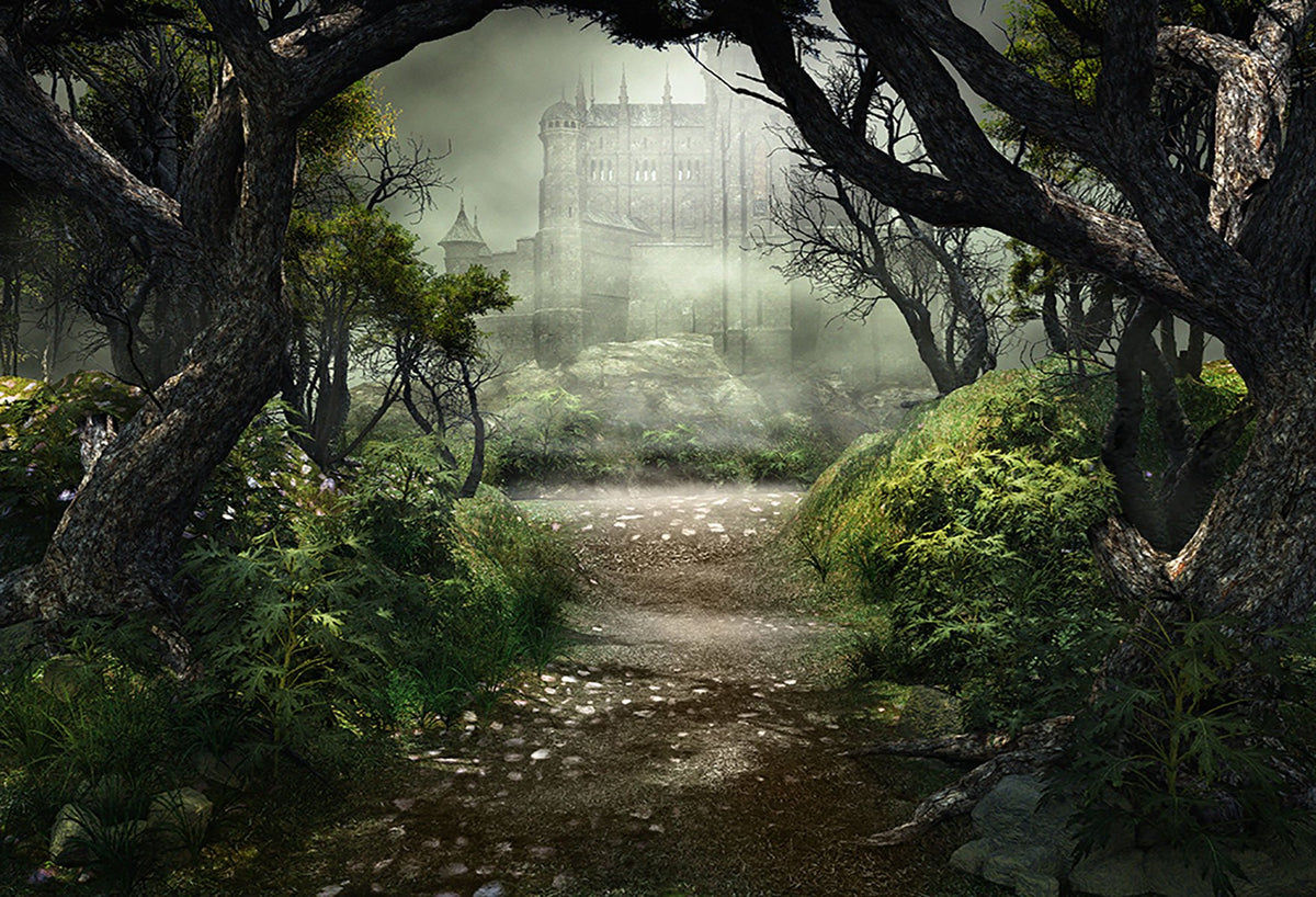 Wallpaper #r2fTEJMBSpphPi3-HPTq21 Castle Secret Forest Photo Studio Backdrop Hj04112 Dbackdrop