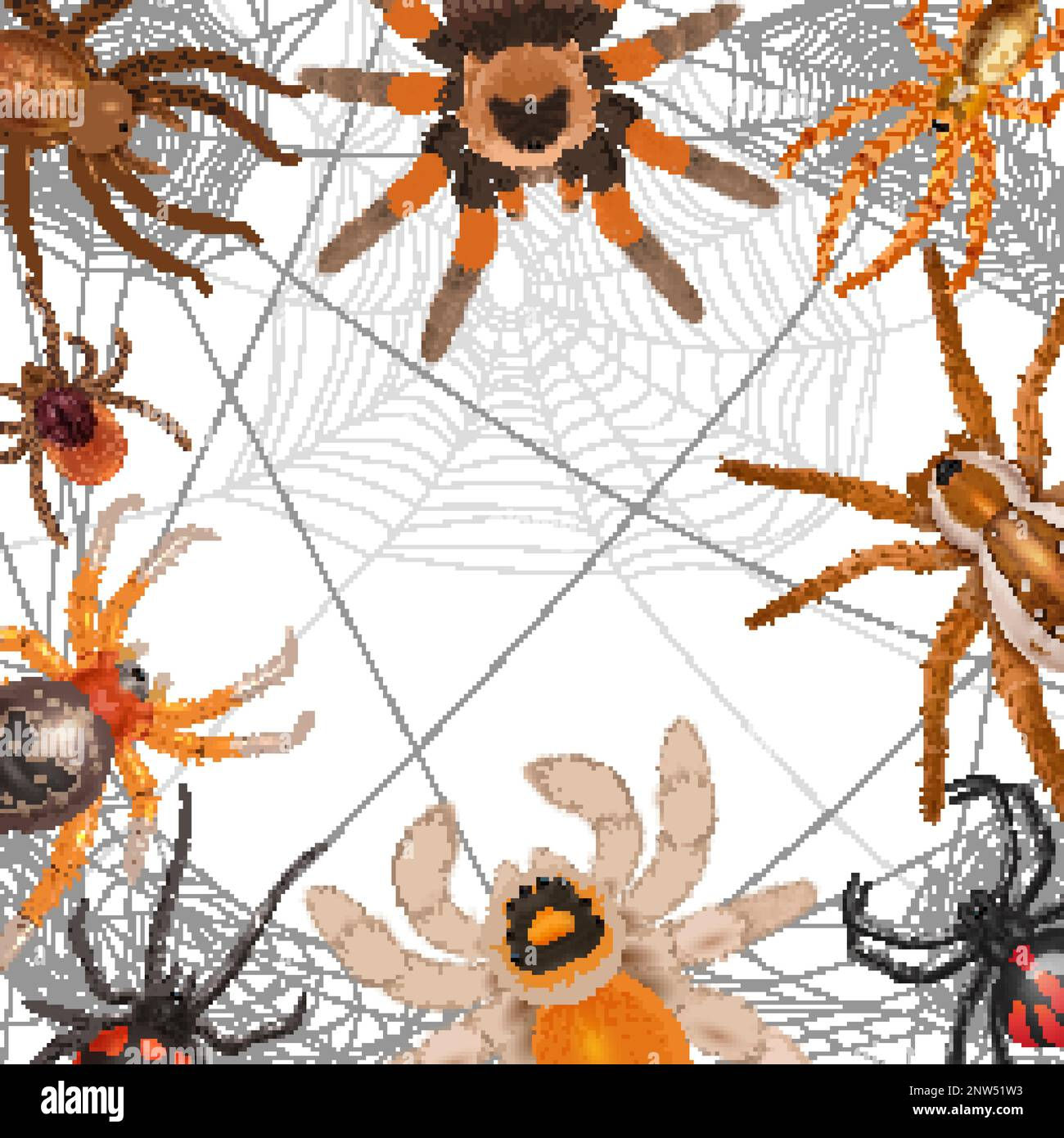Wallpaper #32cVEZMBSpphPi3-sfVC172 Realistic Spiders Frame with Different Types of Spiders Hanging on Web