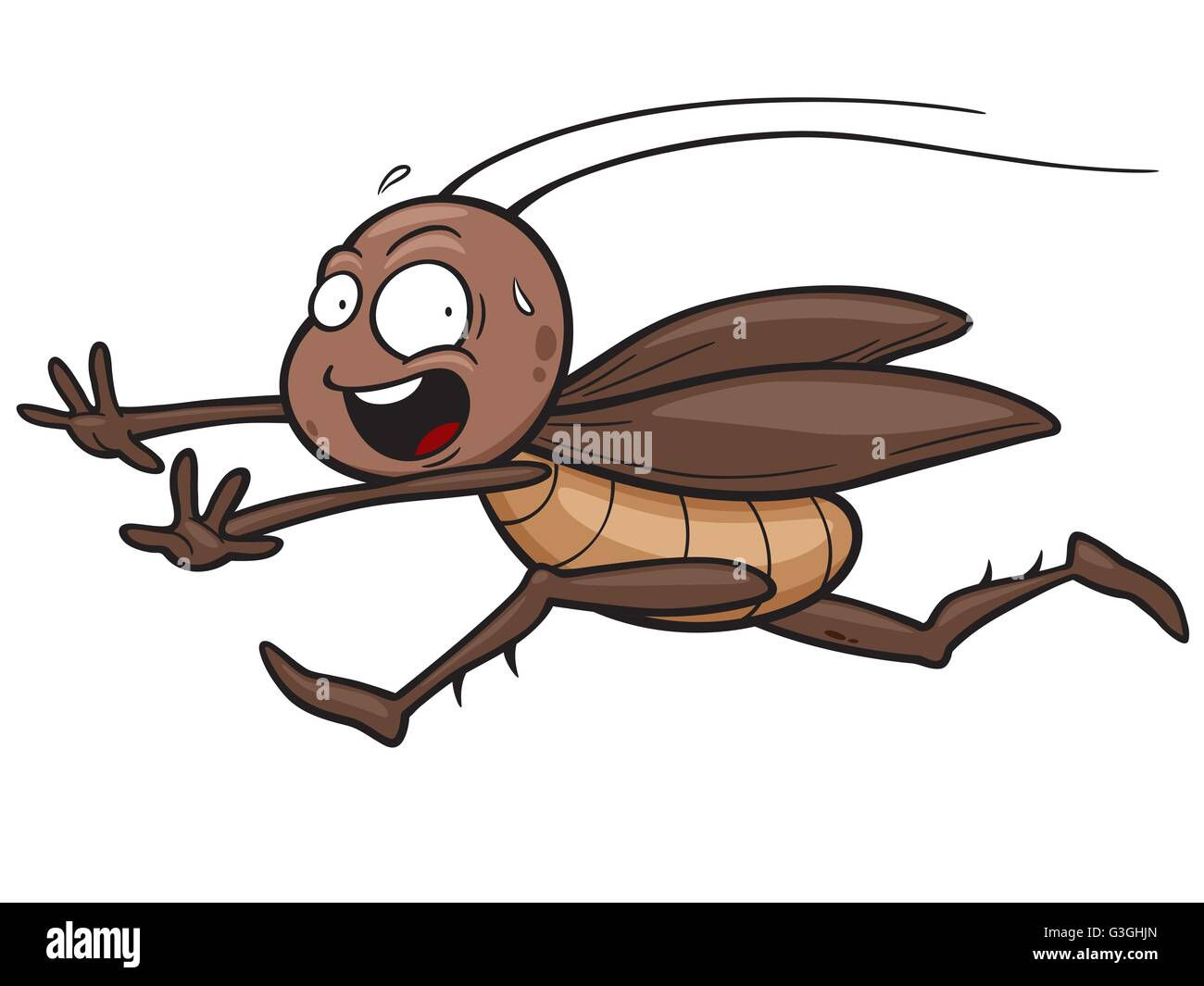 Wallpaper #SWdXCpMBSpphPi3-q9Qk137 Vector Illustration of Cartoon Cockroach Running Stock Vector Image