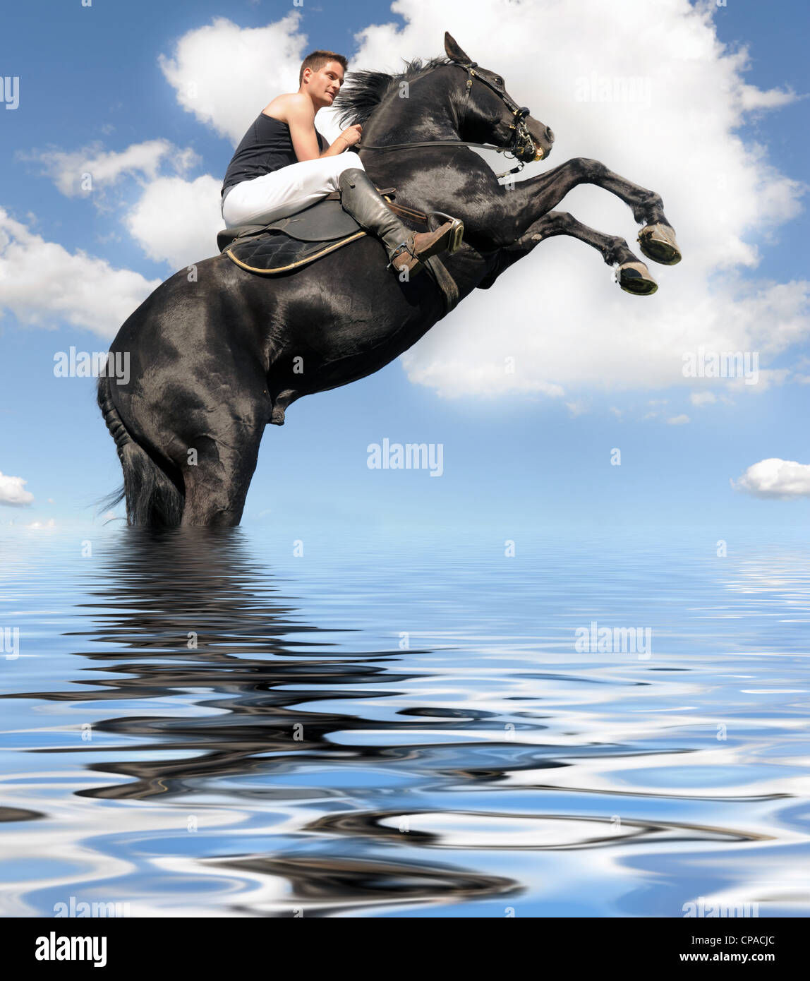 Wallpaper #-2cU-ZIBSpphPi3-KovY39 Black Horse Rearing Up Hi Res Stock Photography and Images Alamy