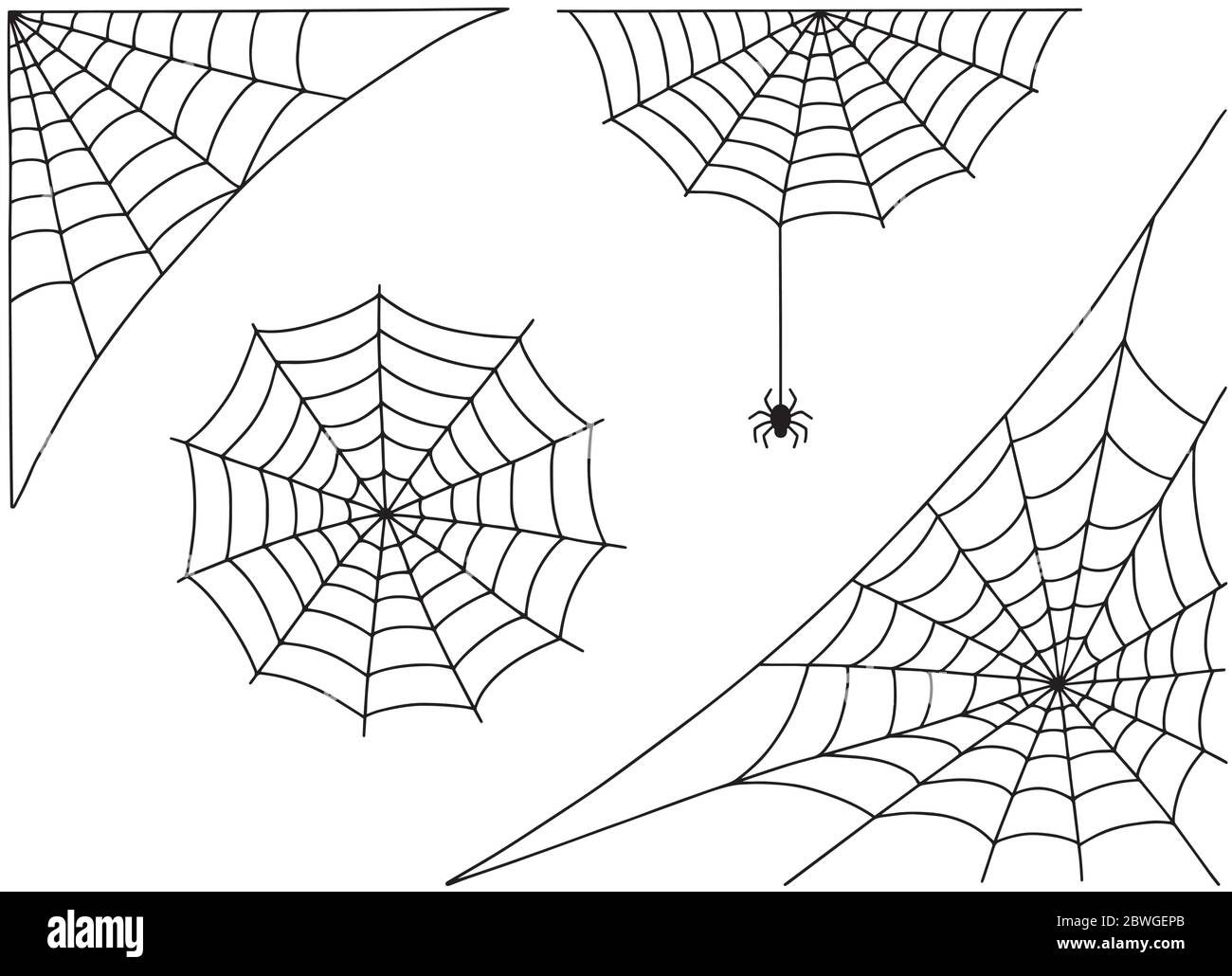 Wallpaper #tWgrGZMBSpphPi3-wxVR339 Halloween Spider Web and Spider Isolated on White Background Hector