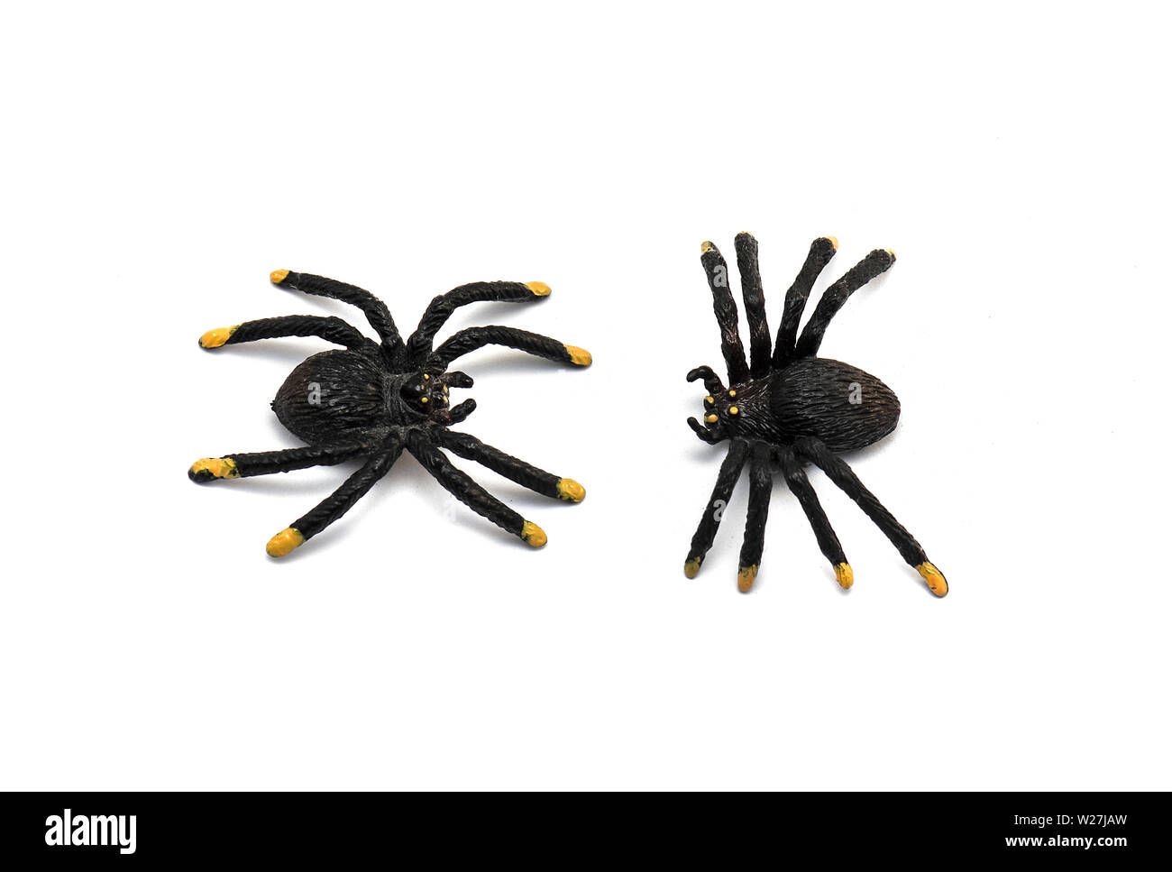 Wallpaper #HfQqOpMBKFX8bn3rhHgw53 Two Plastic Spider Toys Isolated on White Background Stock Photo Alamy