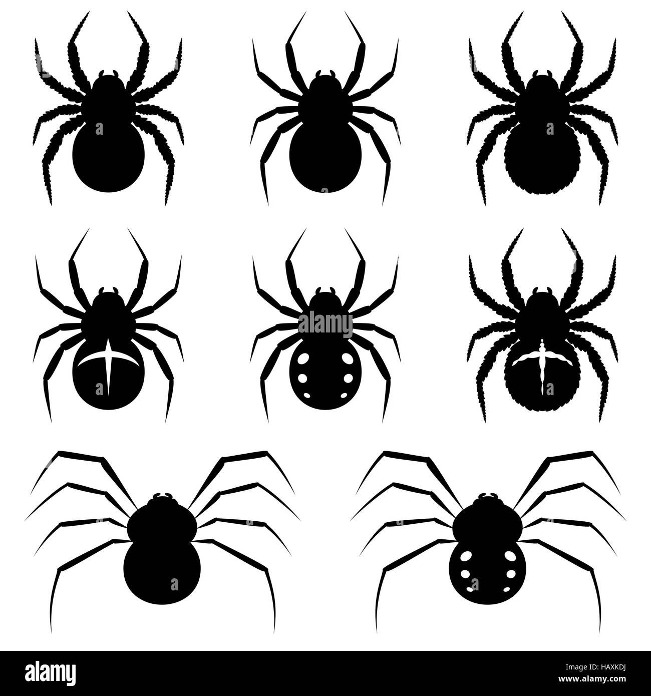 Wallpaper #52dP85IBSpphPi3-BnRA216 Spiders Web Stock Vector Images Alamy