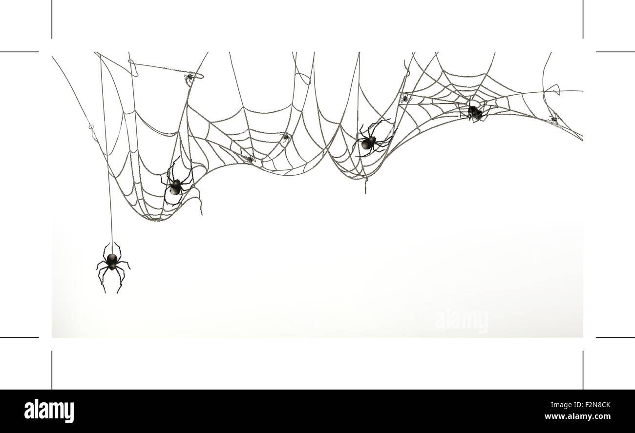 Wallpaper #52dP85IBSpphPi3-BnRA348 Black Widow Spiders Stock Vector Images Alamy