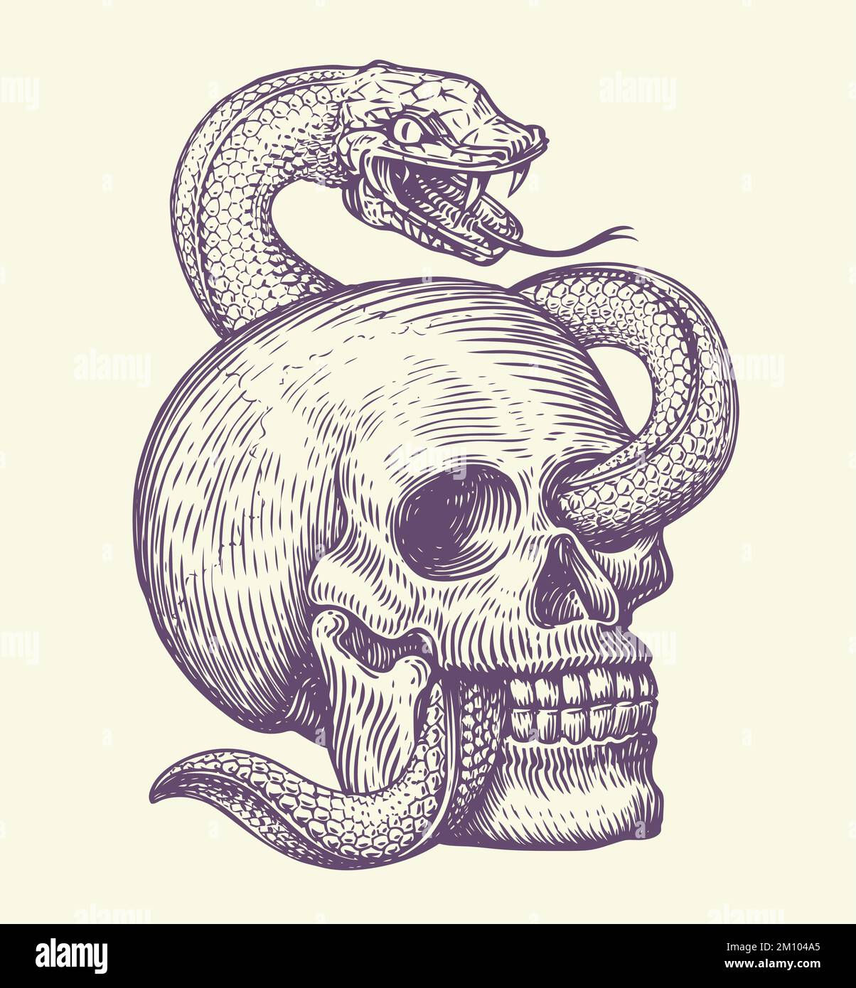 Wallpaper #hhl_Ho8BtGB6xQ78ZnmZ29 Human Skull with Crawling Snake Hand Drawn Sketch in Vintage Engraving
