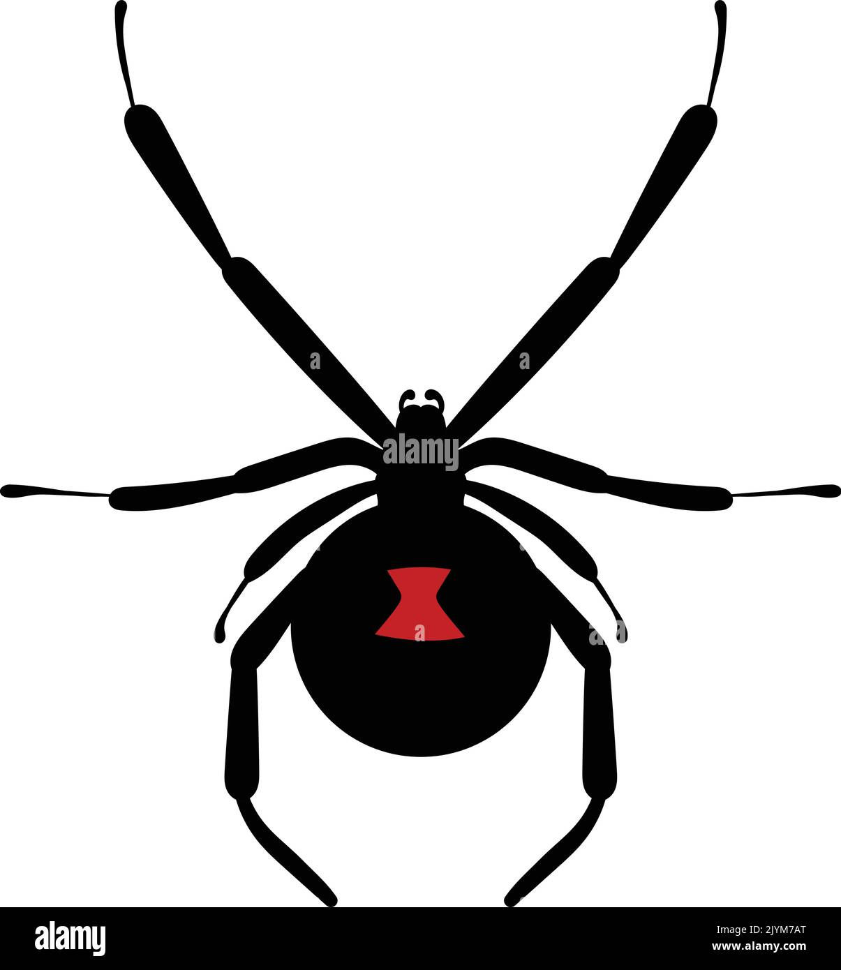 Wallpaper #k_RZOpMBKFX8bn3rE3j0276 Black Widow Poisonous Spider Vector Illustration Halloween Clipart