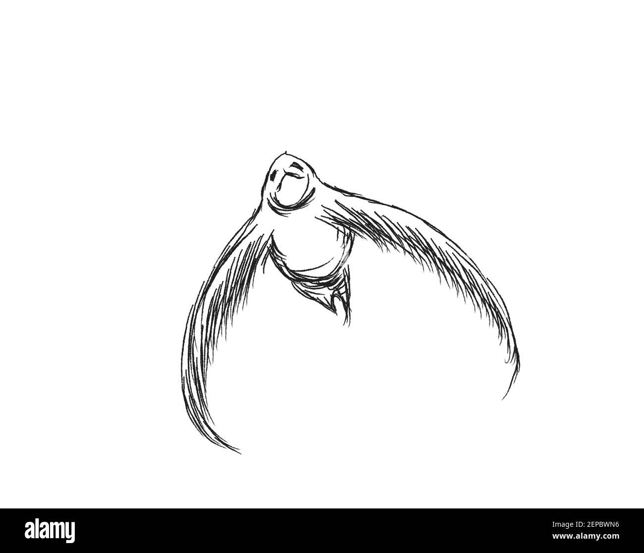 Wallpaper #OBqEUJMB1yWOL4qgwYA7408 The Ultimate Collection of Over 999 Astonishing Bird Pencil Drawings