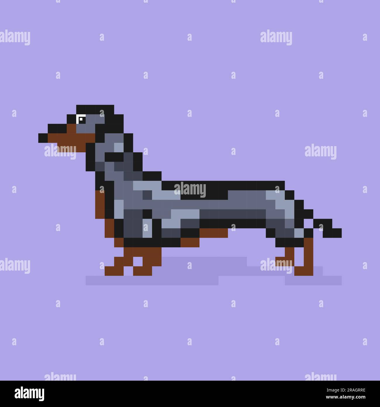 Wallpaper #42exDJMBSpphPi3-h9_r83 Dachshund Flat Vector Icon Retro 80s Pixel Art Stock Vector Image