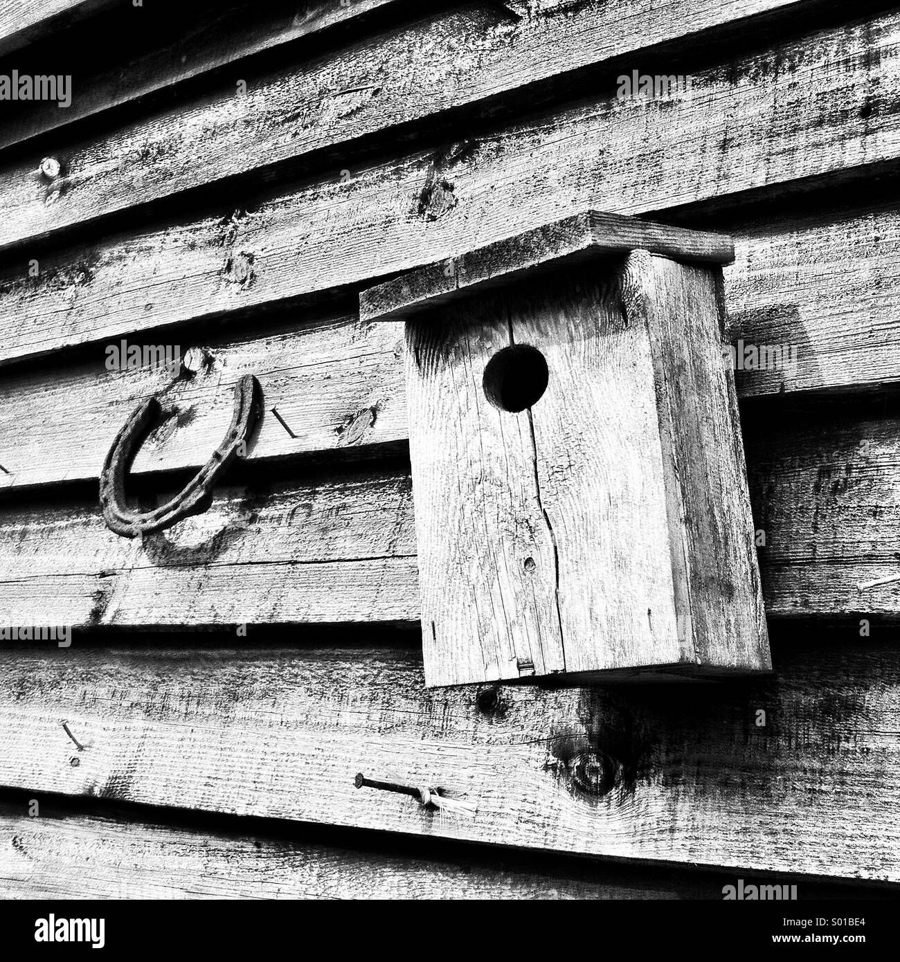 Wallpaper #fRwnQZMB8JfcLg2JvfdA406 Good Luck Bird Black and White Stock Photos Images Alamy