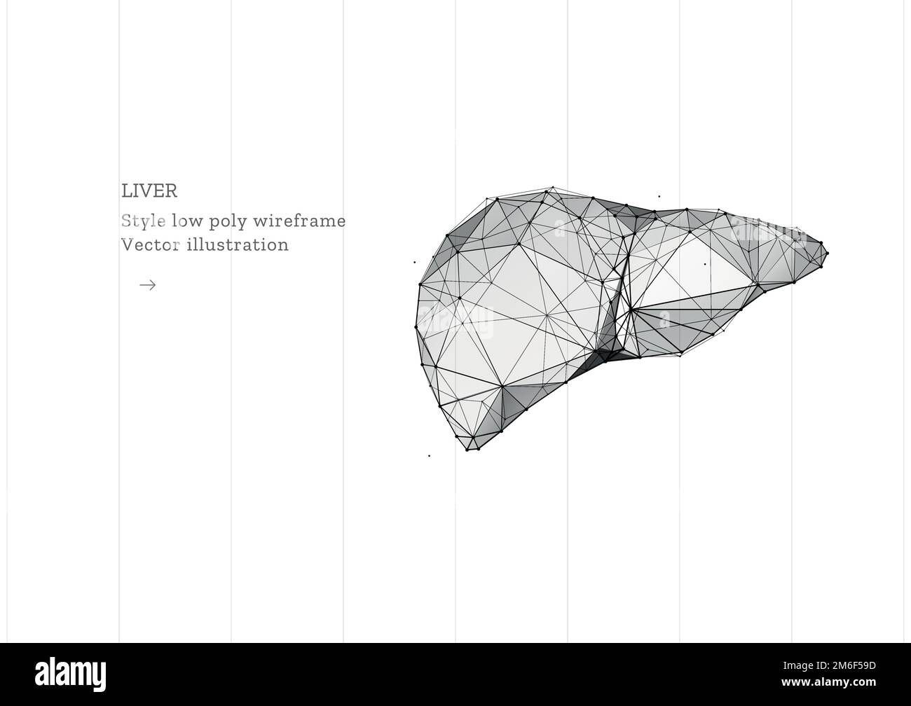 Wallpaper #WWdkEpMBSpphPi3-tvsO274 Liver Organ Low Poly Wireframe Style Technology in Medicine Abstract