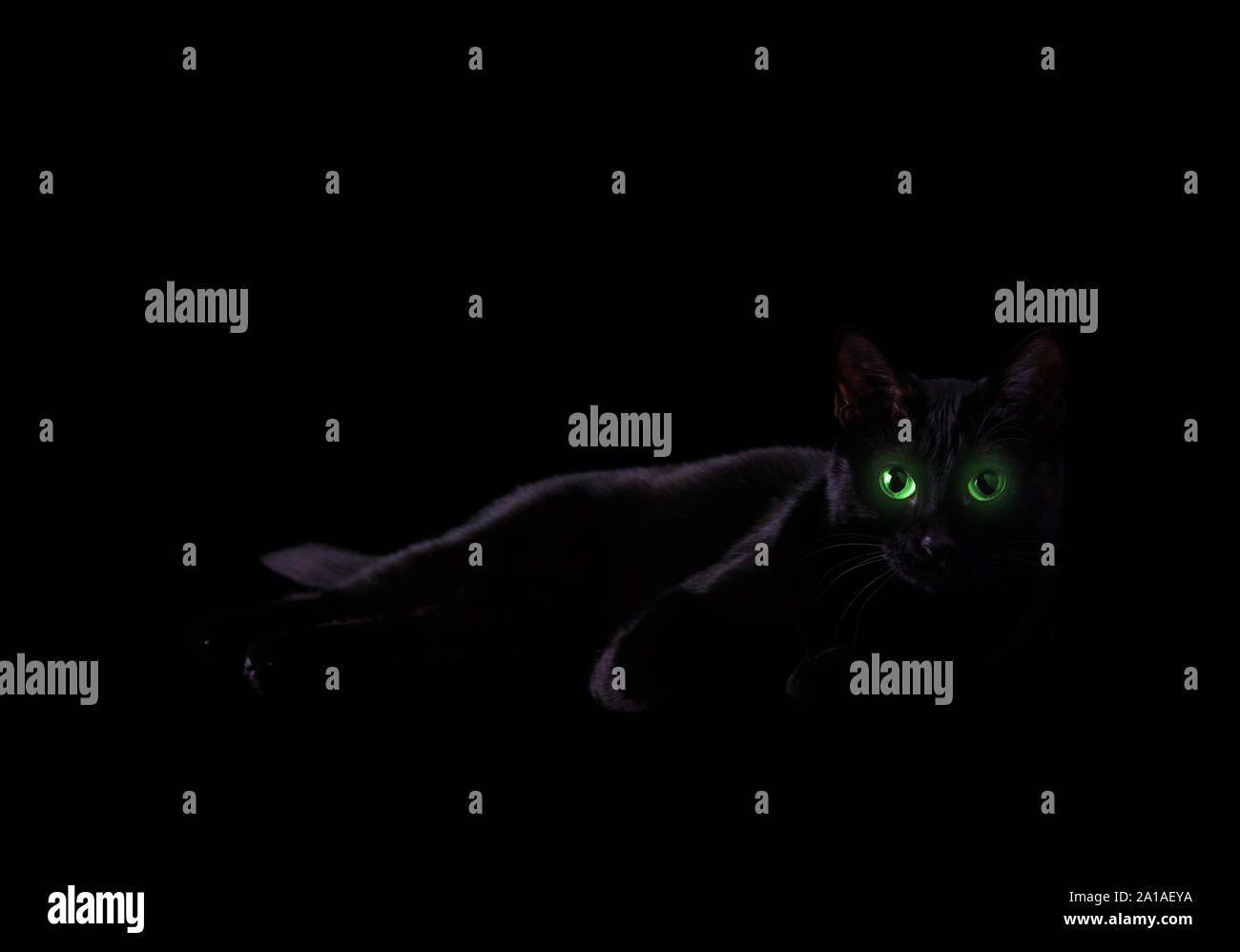 Wallpaper #0002c Glowing Wolf Eyes at Night