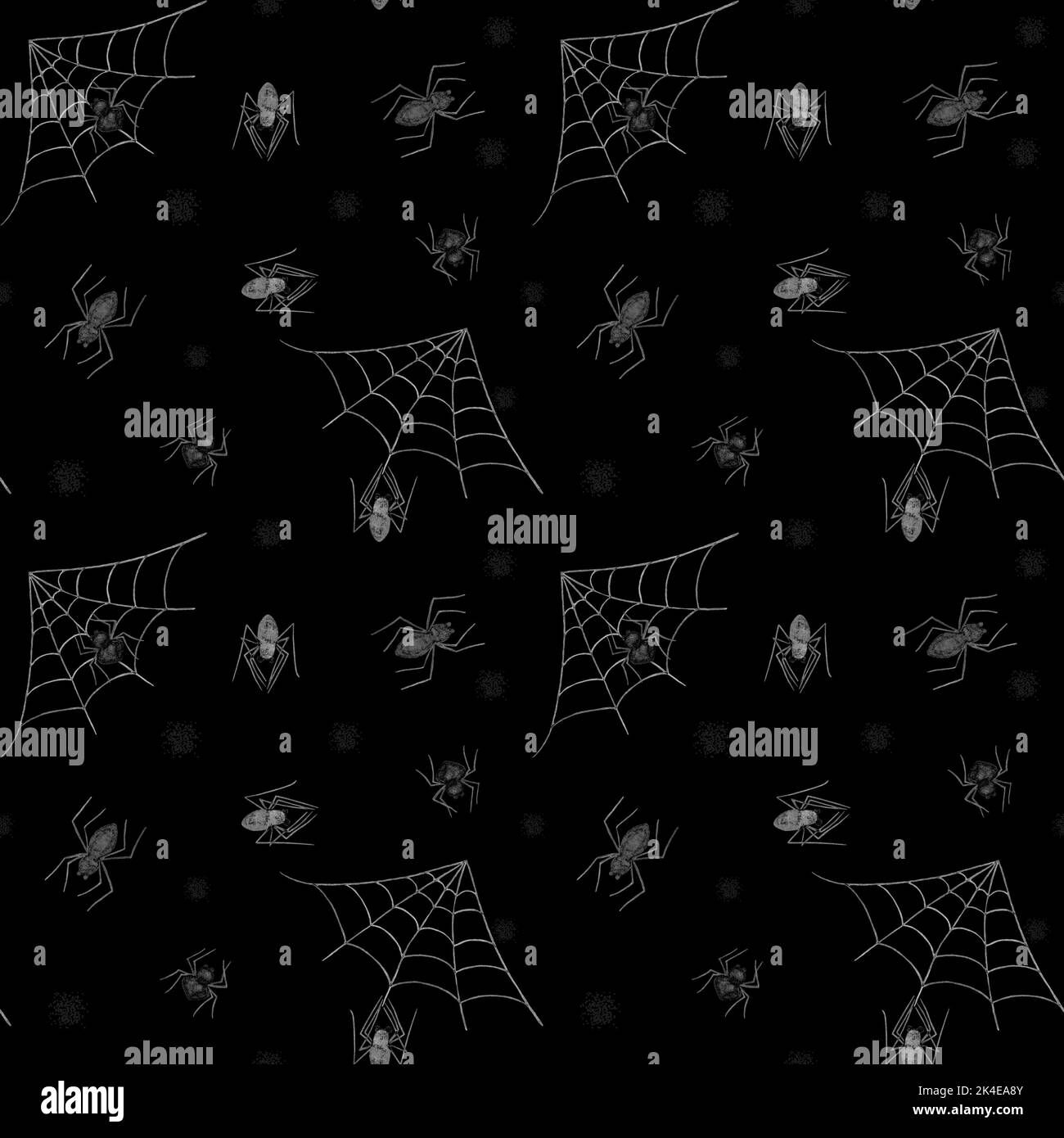 Wallpaper #cGgHF5MBSpphPi3-TQ0z218 Spiders Web Art Black and White Stock Photos Images Alamy
