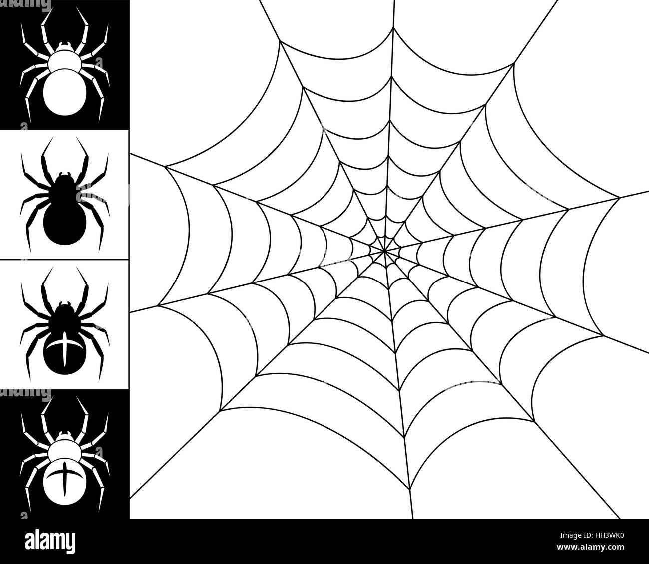 Wallpaper #52dP85IBSpphPi3-BnRA196 Net Web Spider Stock Vector Images Alamy