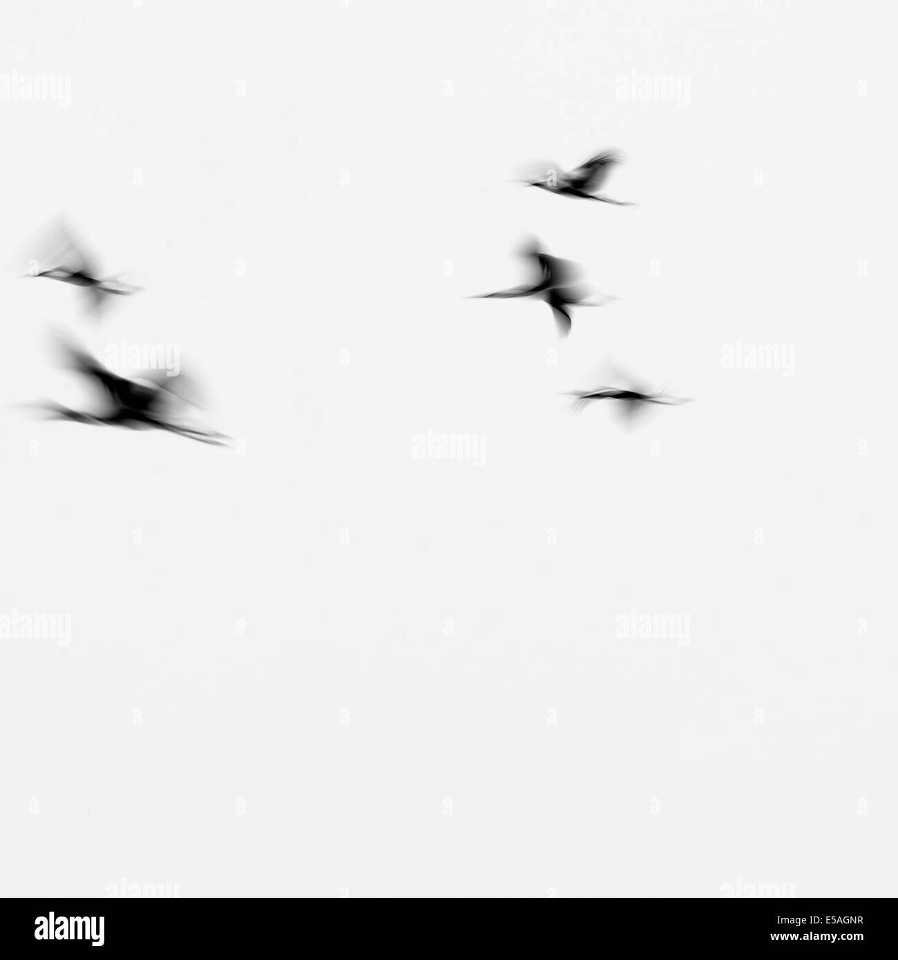 Wallpaper #42fKEZMBSpphPi3-_fja186 Abstract Nature Art Hi Res Stock Photography and Images Alamy
