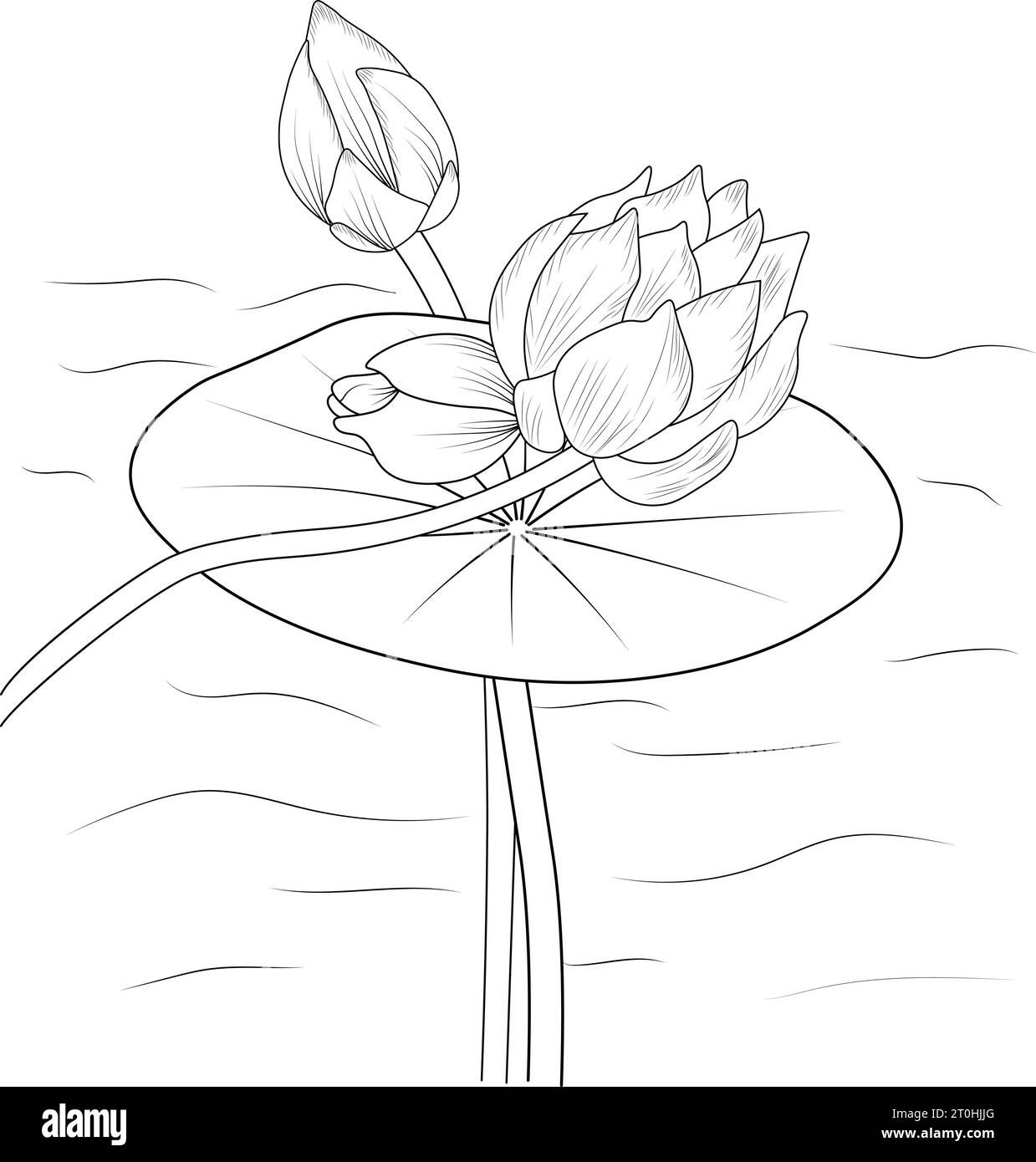 Wallpaper #PmfIC5MBSpphPi3-L9tC193 Lotus Flower Drawing a Branch of the Botanical Spring Collection Ink