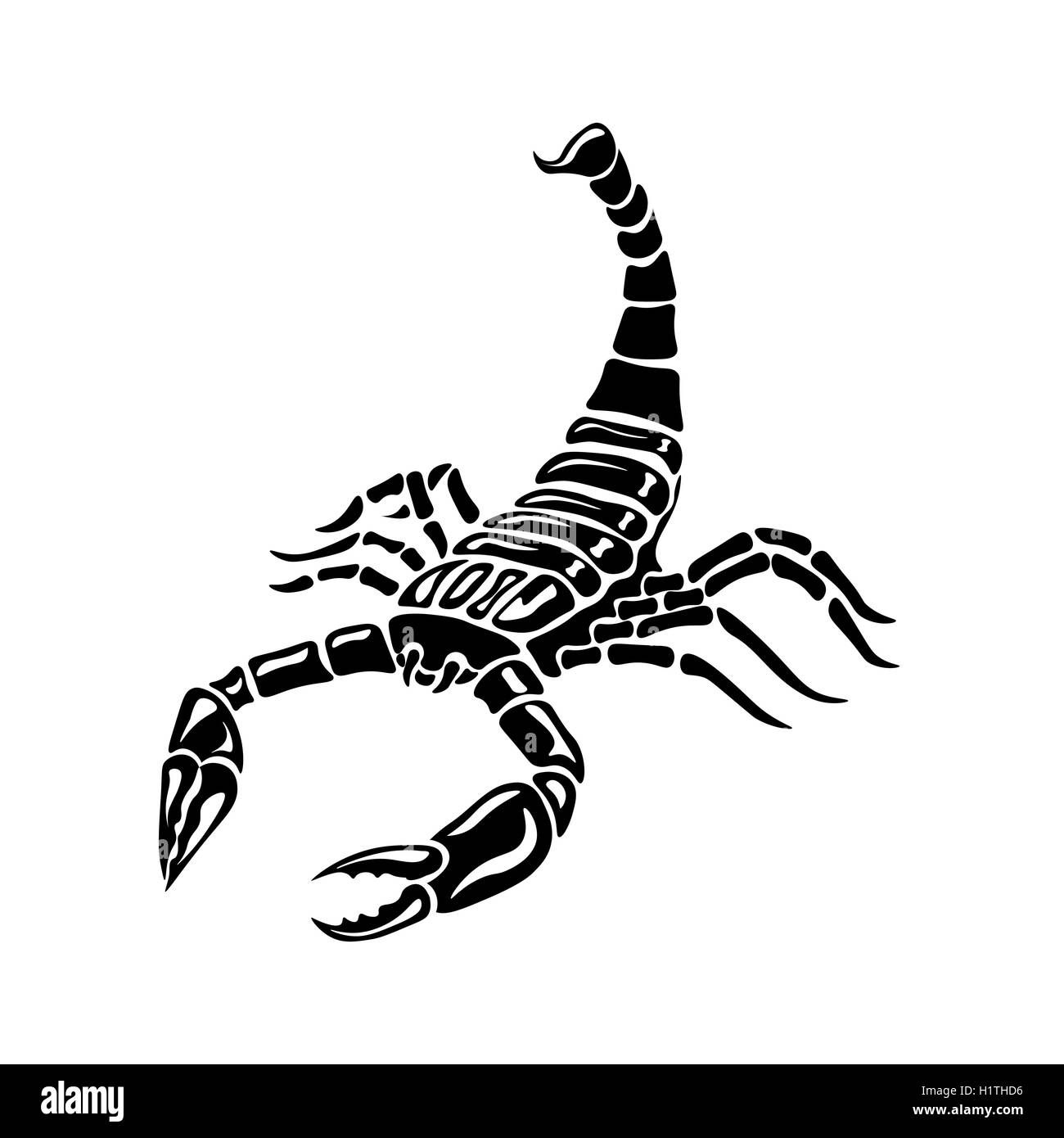 Wallpaper #YPQzOZMBKFX8bn3rnnbQ40 Share 77 Black and White Scorpion Tattoos Vovaeduvn