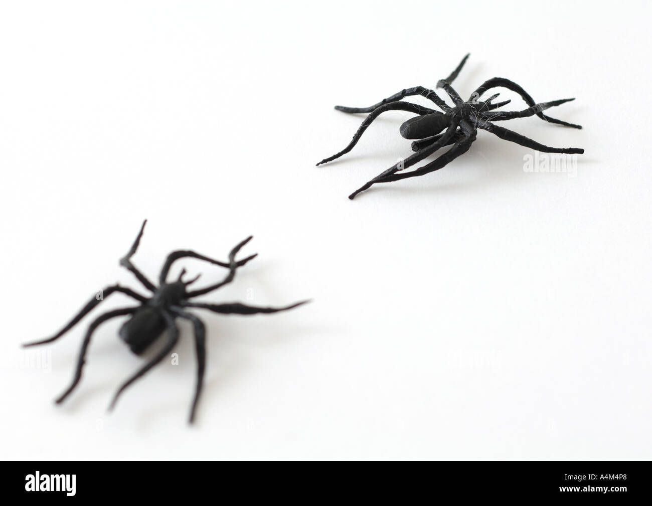 Wallpaper #HfQqOpMBKFX8bn3rhHgw55 Toy Plastic Spider Fake Spiders Hi Res Stock Photography and Images Alamy