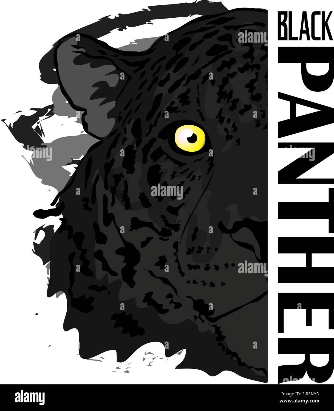 Wallpaper #6d884 The Black Panthers Vanguard of the Revolution Documentary About