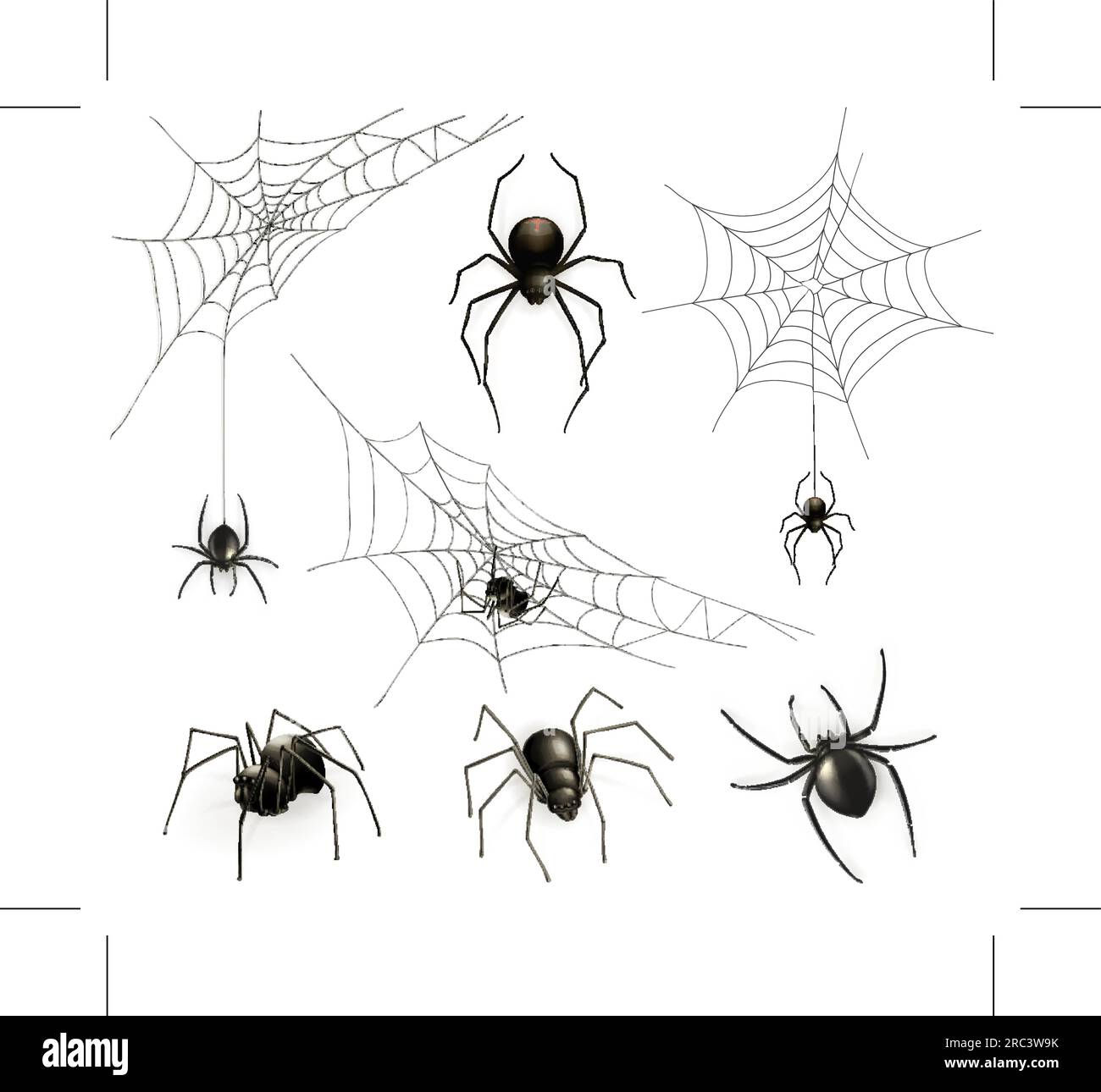Wallpaper #52dP85IBSpphPi3-BnRA43 Spiders and Spider Web Vector Set Stock Vector Image Art Alamy