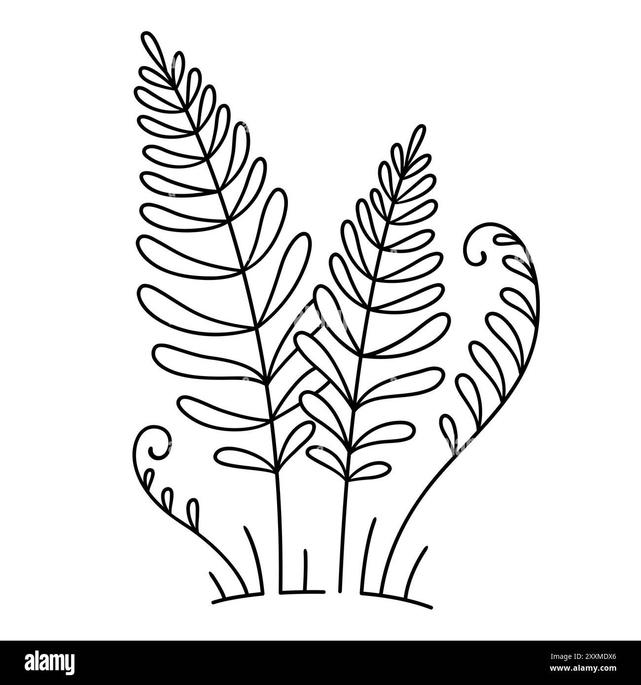 Wallpaper #rztWcJcBSWmA-tzpc4_4192 Fern Plant Doodle Drawing Simple Black and White Line Art Vector