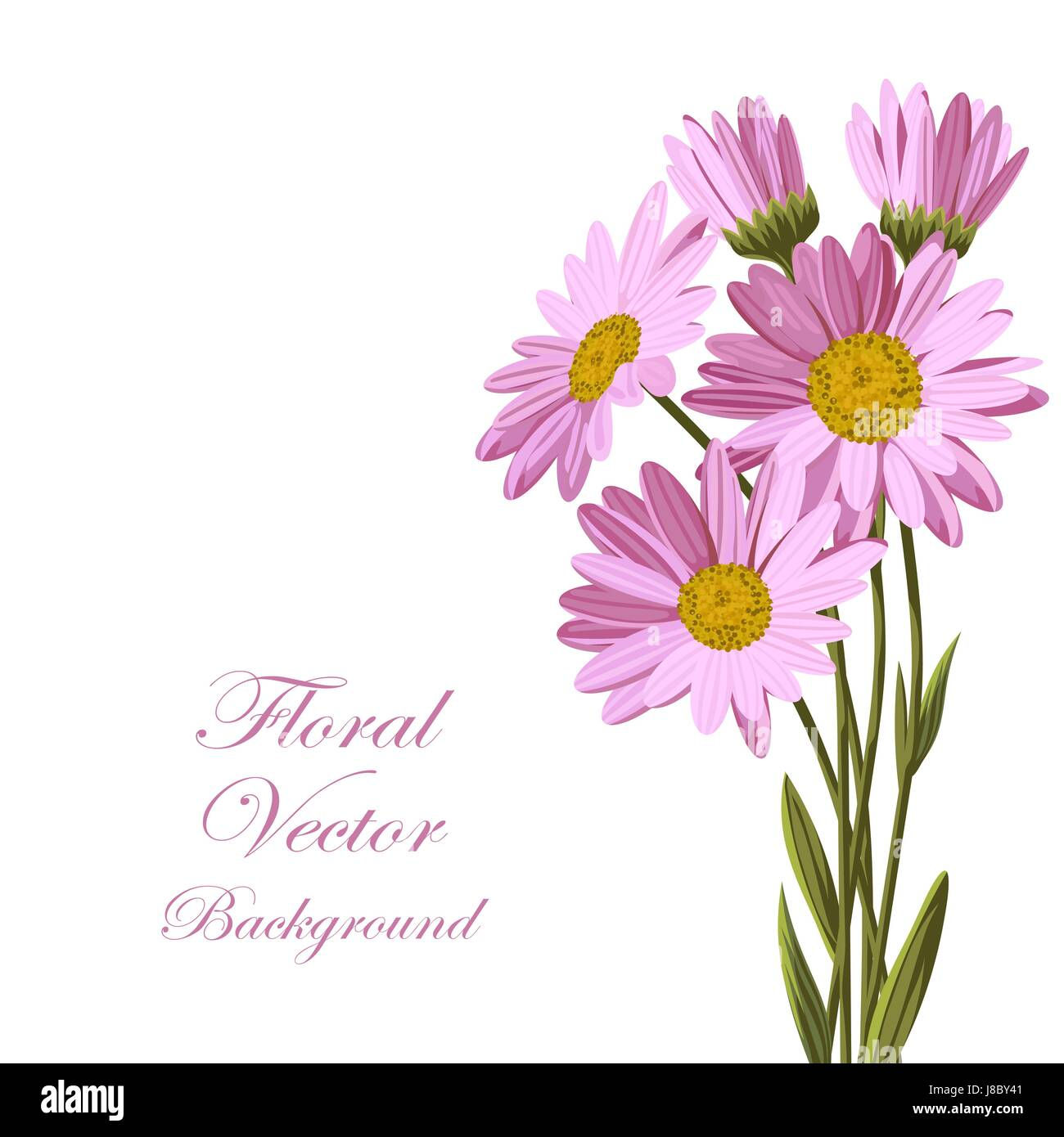 Wallpaper #3mhXIpMBSpphPi3-4TKc184 Beautiful Pink Daisies Stock Vector Image Art Alamy