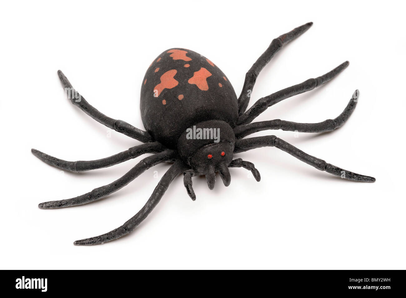 Wallpaper #1fQOOpMBKFX8bn3r-3cr361 Big Black Toy Rubber Spider Stock Photo Alamy