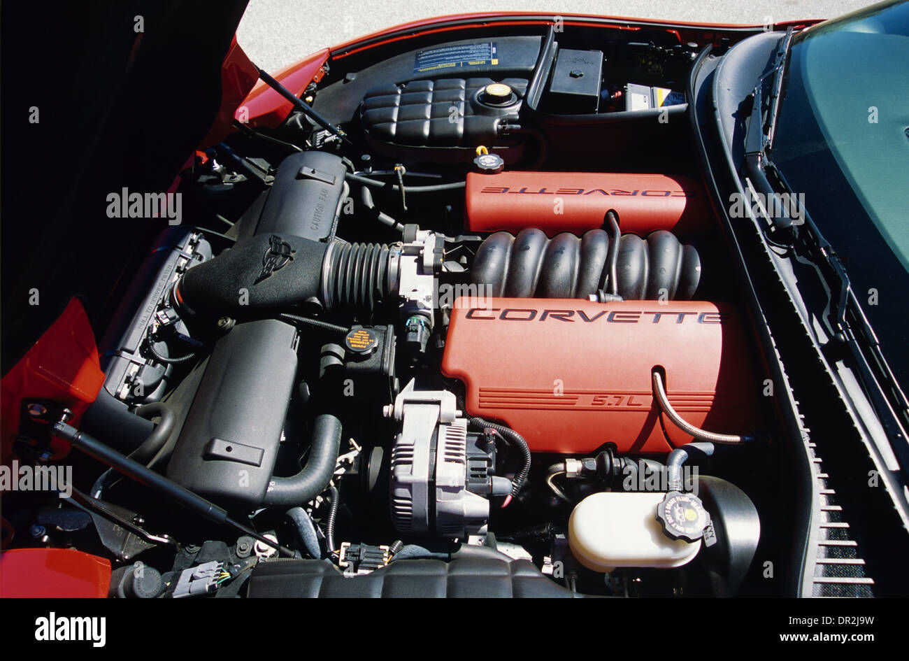 Wallpaper #8GdrB5MBSpphPi3-bMW6269 Chevrolet Corvette C5 Z06 Model 2001 Red Engine View Stock Photo